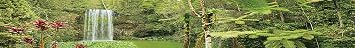 Reptile Habitat Background; Rain Forest, Waterfall, Red Leaves, for 72Lx24Wx18H Terrarium, 3-Sided Wraparound