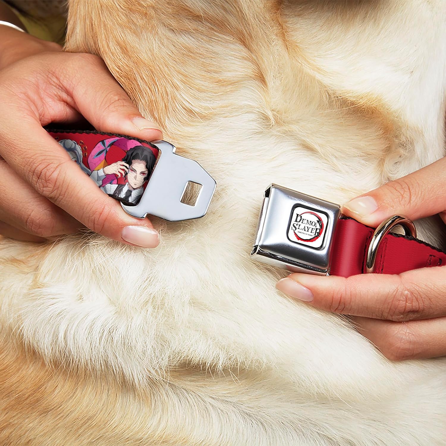 Aniplex of America Pet Collar, Dog Collar Metal Seatbelt Buckle, Demon Slayer Eight Demons Poses Red, 15 to 24 Inches 1.0 Inch Wide