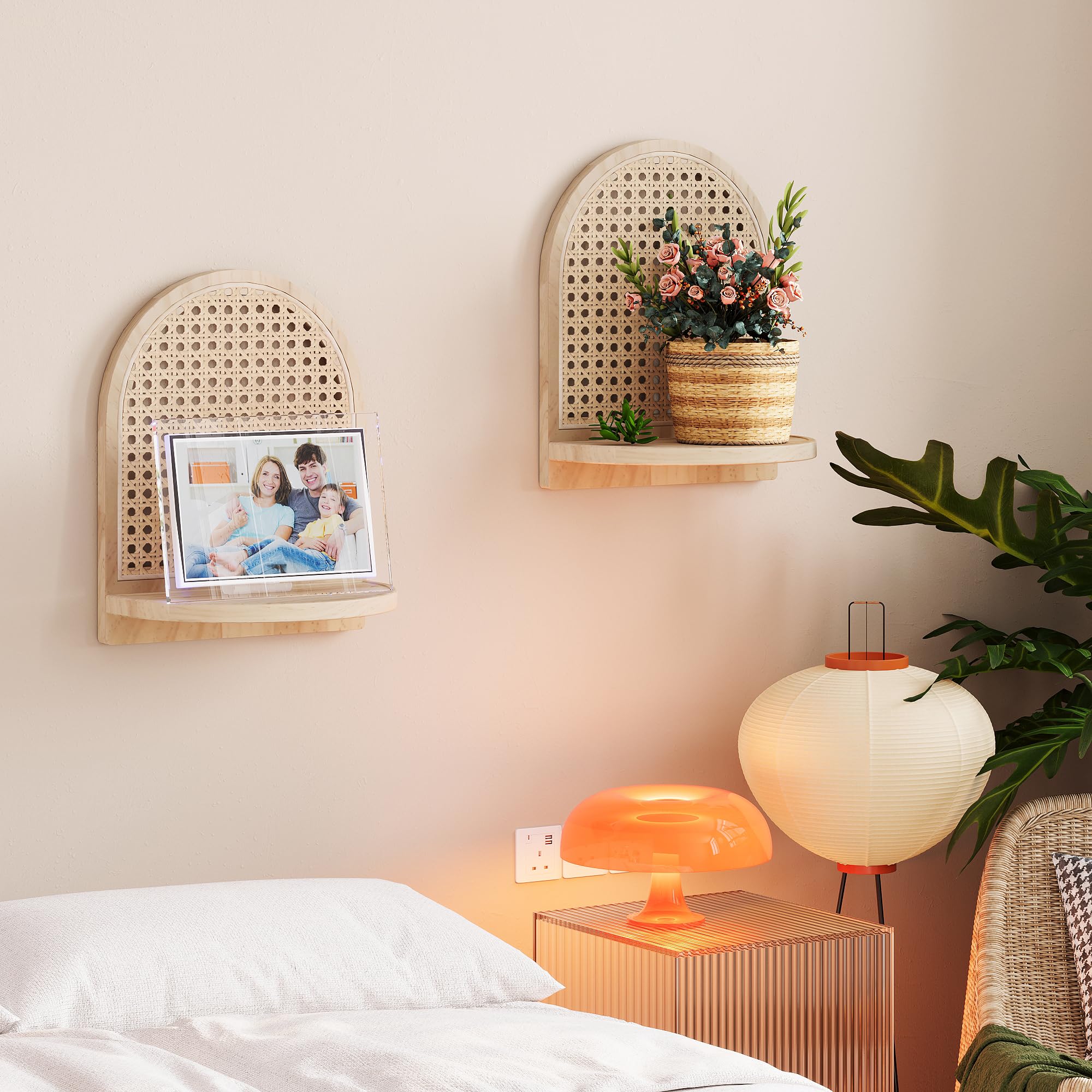 【送料無料】Collection Shelf / NATURE LWP007_002_1946x.jpg?v=1702590640