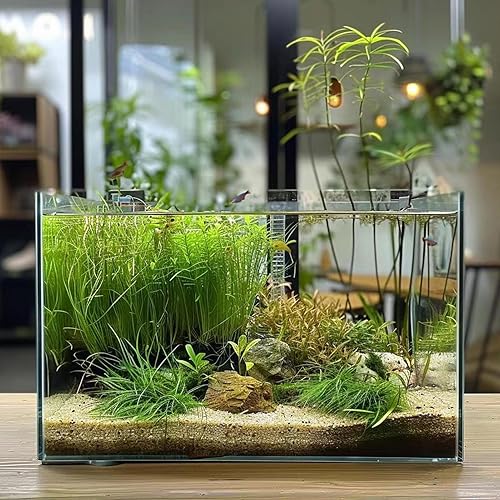 3 Gallon Glass Fish Tank, Easy to Maintain Small Aquarium for Betta/Goldfish/Snails/Shrimp and Aquatic Planting.(5 Gallon)