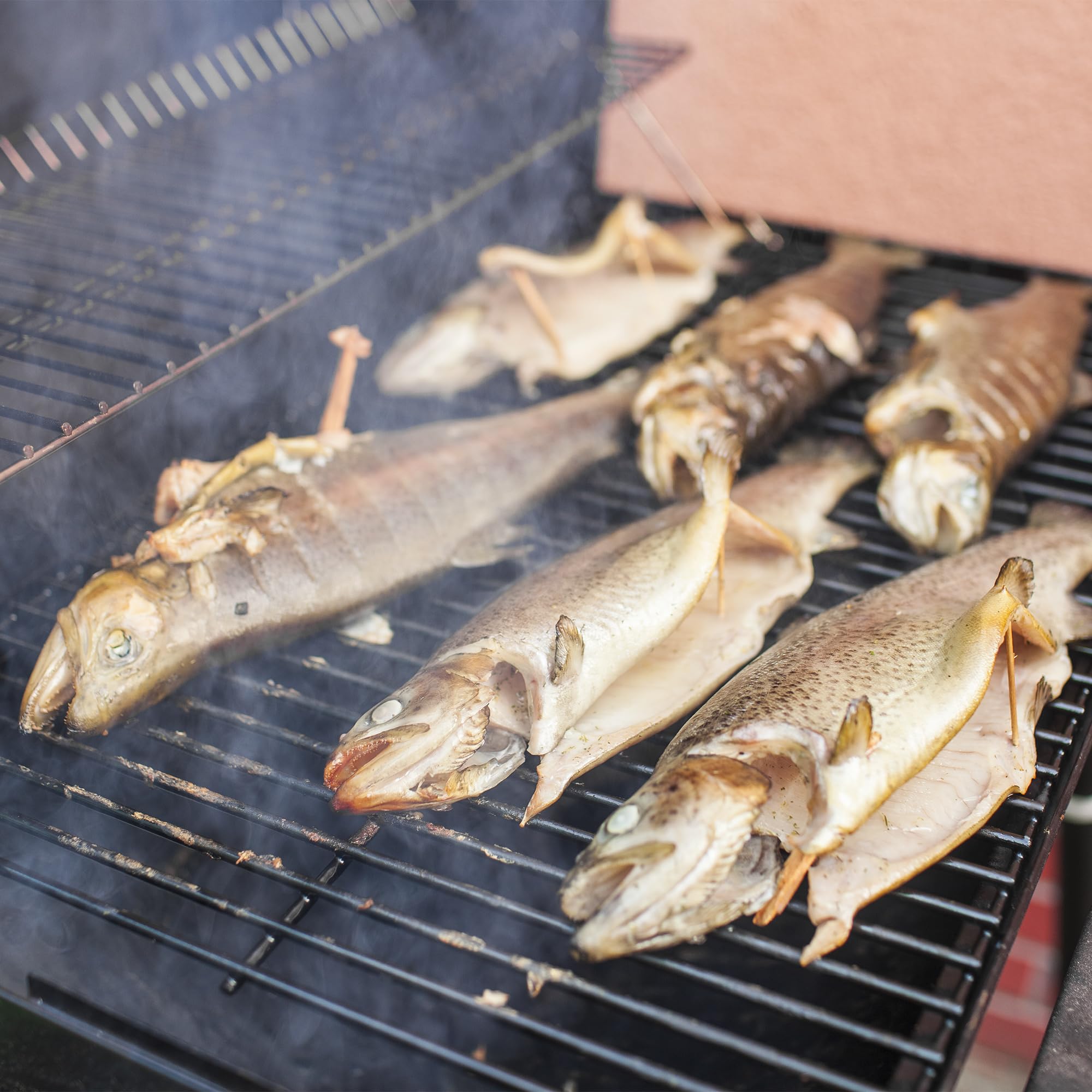 Browin 780820 - Astillas de Madera para ahumar y Asar a la Parrilla, Roble, 600 g, Cerezo, 450 g, Manzano, 450 g, Juego de virutas de Madera Natural para múltiples usos