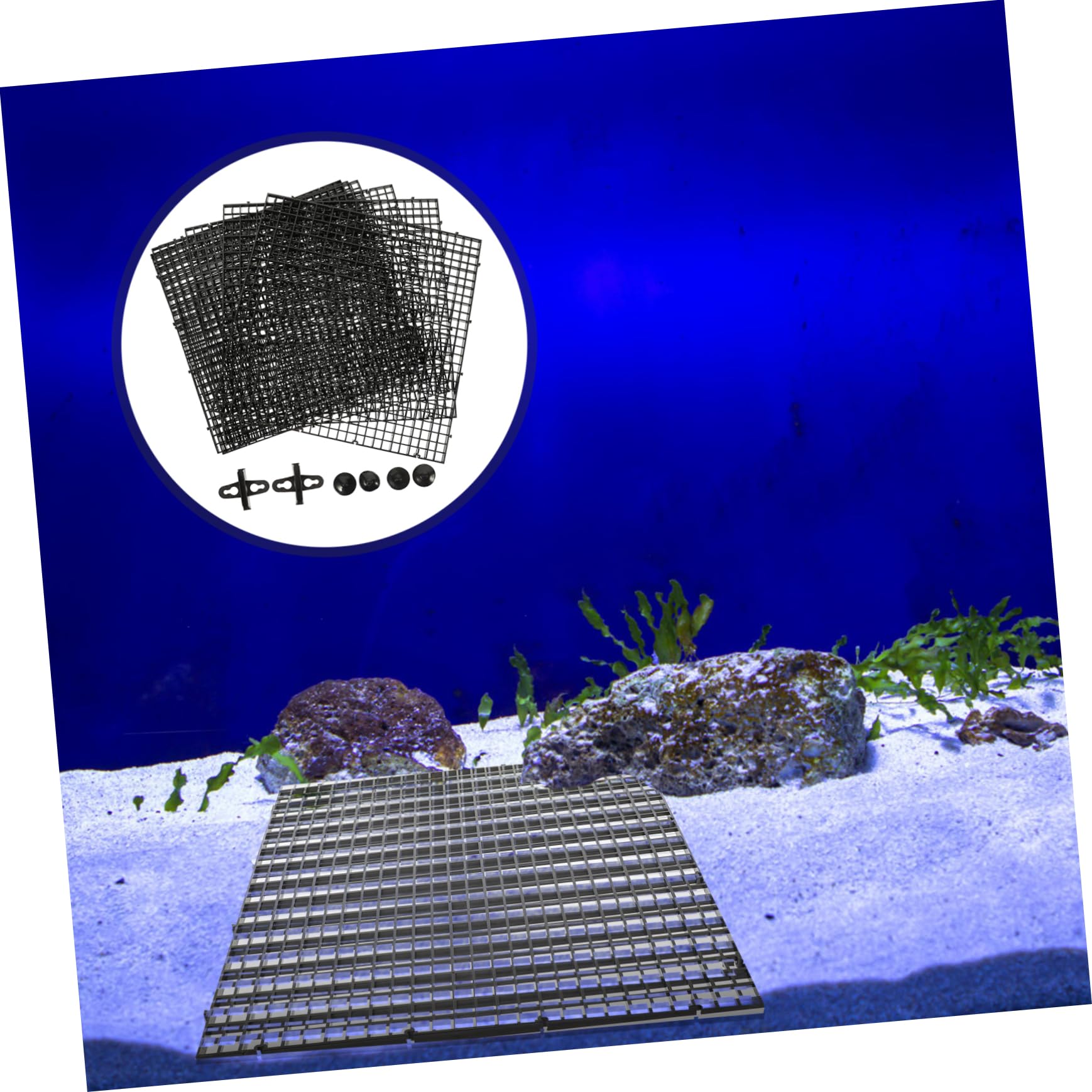 Housoutil 1satz Aquarium Isolation Platte Mit Saugnäpfen Teiliges Für Effektive Trennung Von Fischen Und Wasserzirkulation Für Aquarienpflege