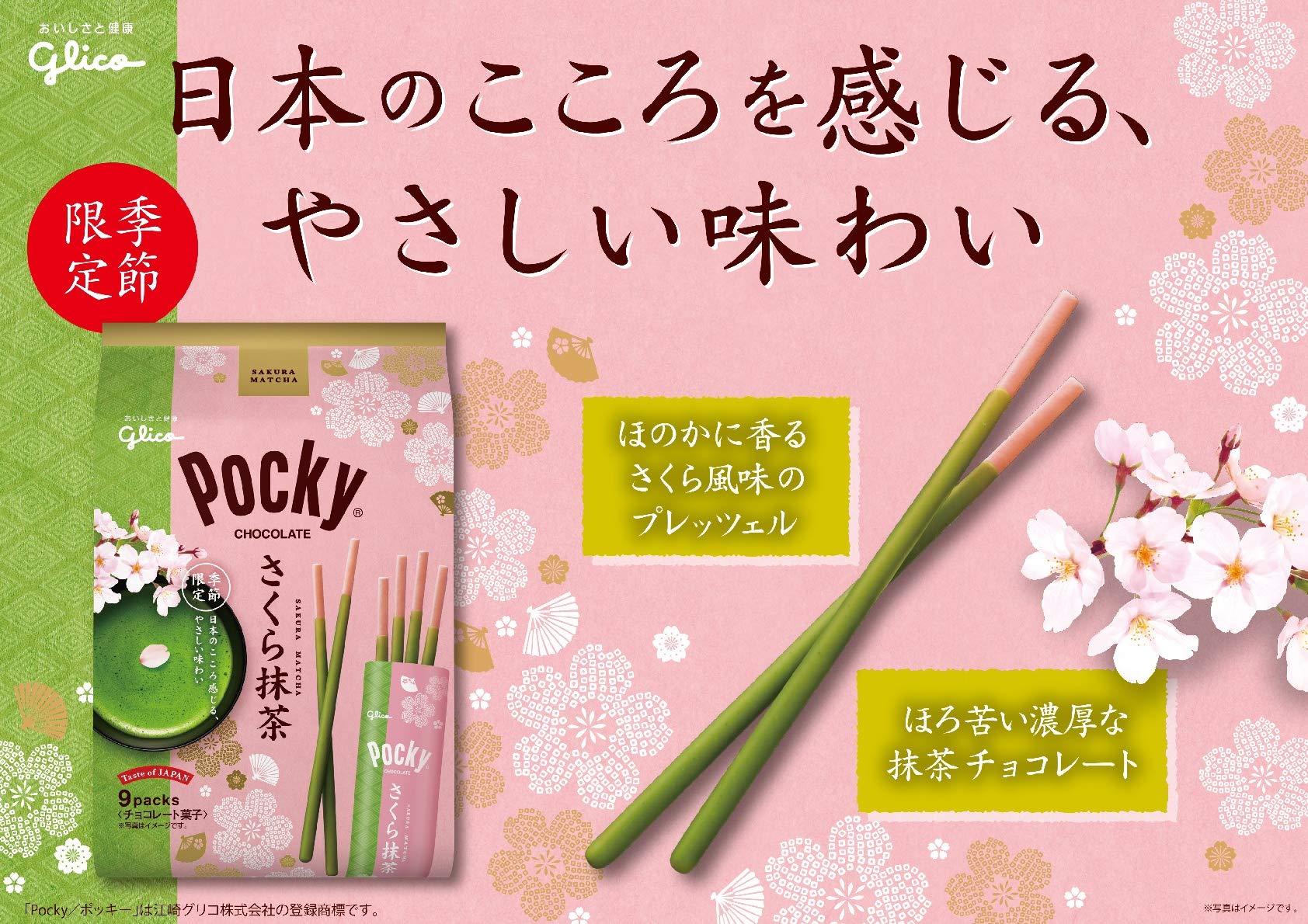 Glico Japan Pocky Chocolate Taste of Japan Special Spring Seasonal Limited Edition Sakura Matcha Green Tea flavor 9 — view 4