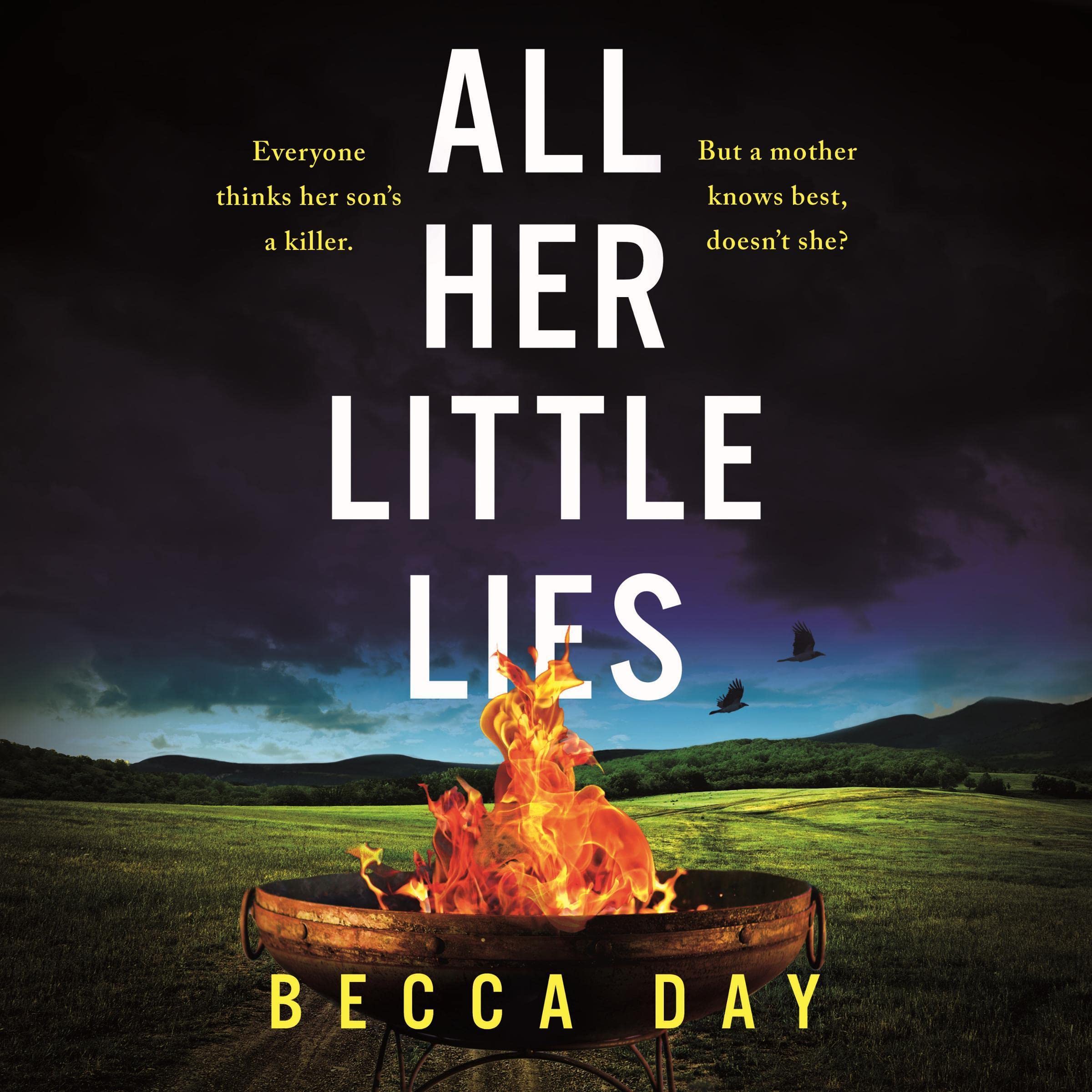 Cover art for All Her Little Lies
