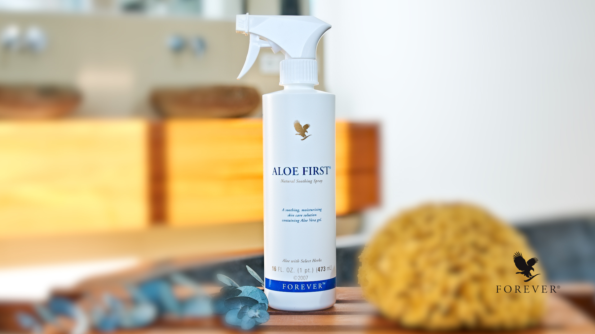aloe vera plant online Aloe Vera – Fantastic Gardens