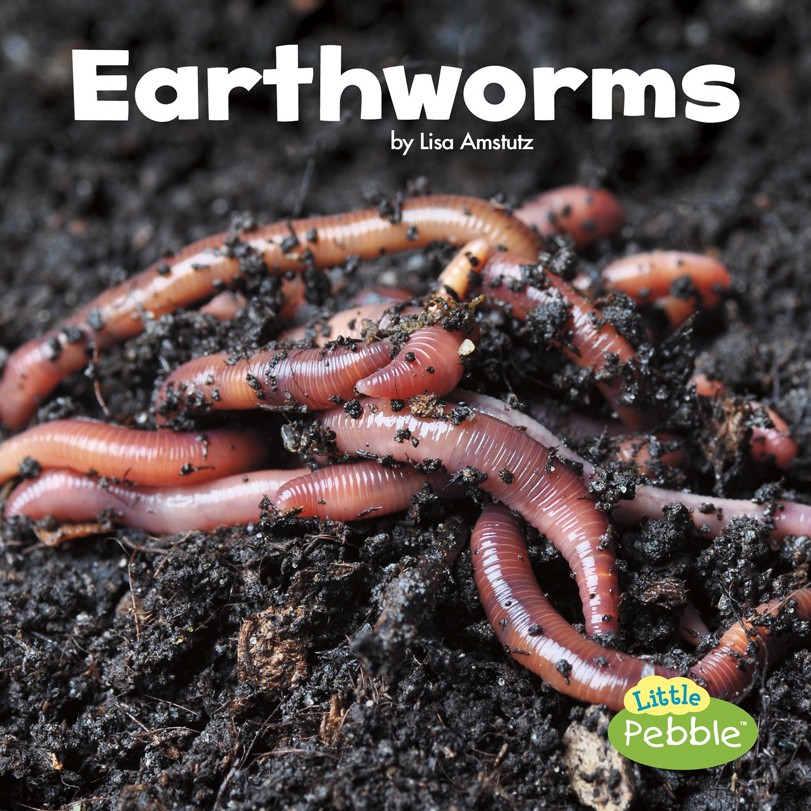 CAPSTONE PUBLISHING Earthworms (Little Critters)
