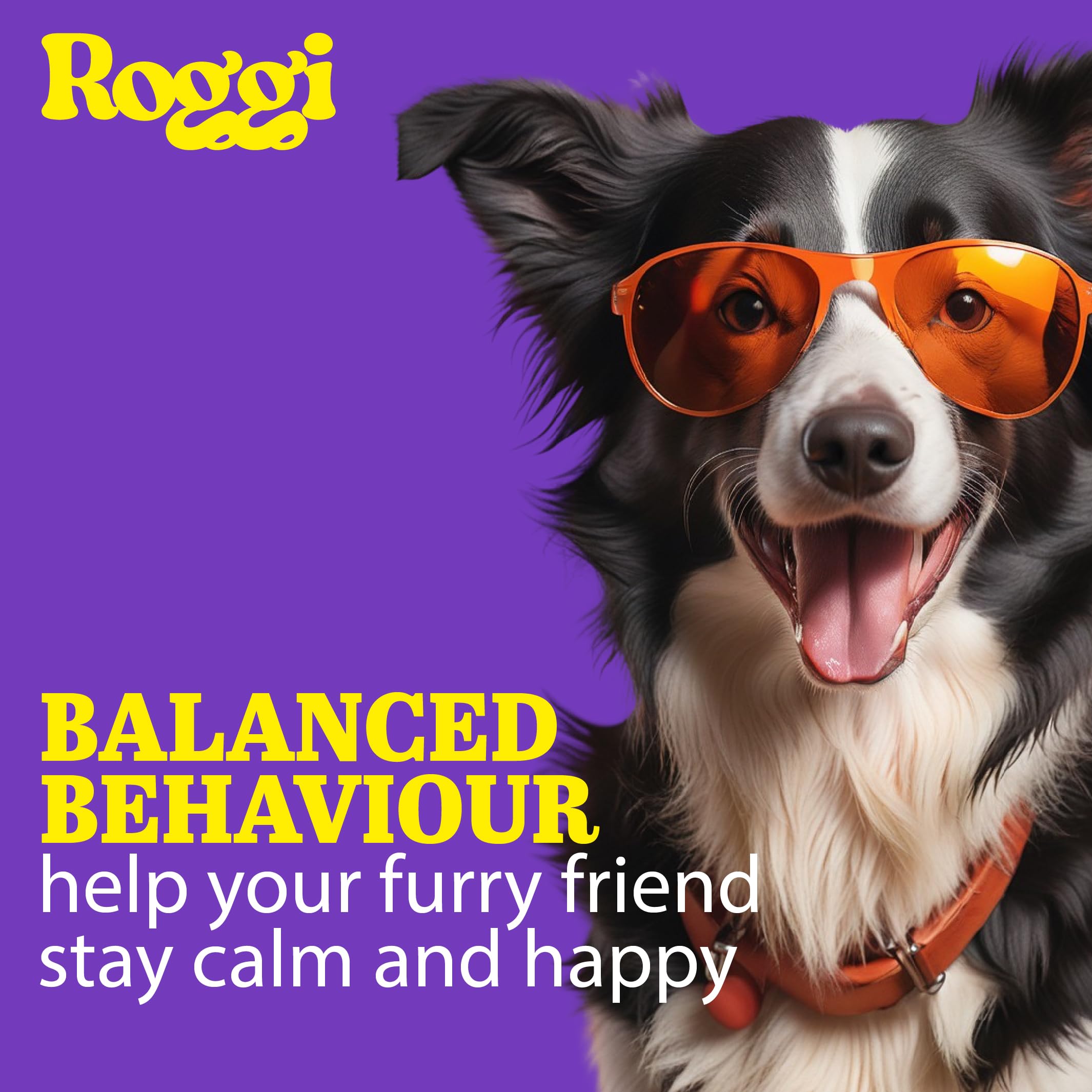 ROGGI Calming Chews for Dogs Calming Dog Treats, Dog Calming Chews That Work, Stress and Anxiety Calming treats - Image 2