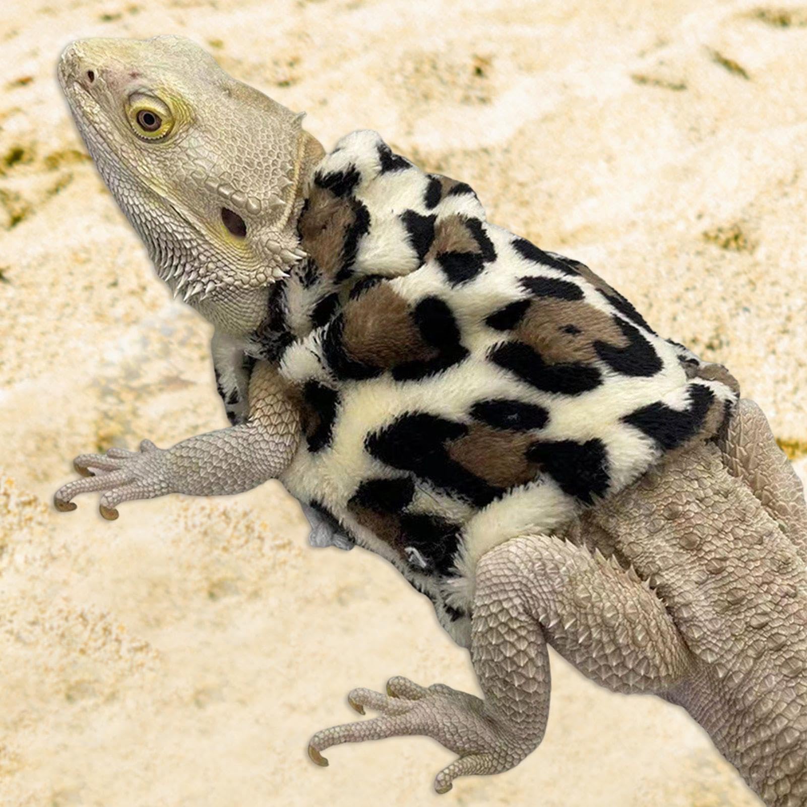 Vêtements de reptiles | Costume de dragon barbu,Costume de dragon barbu pour lézards Dragon, tenues vêtements accessoires photo pour lézards geckos hamsters