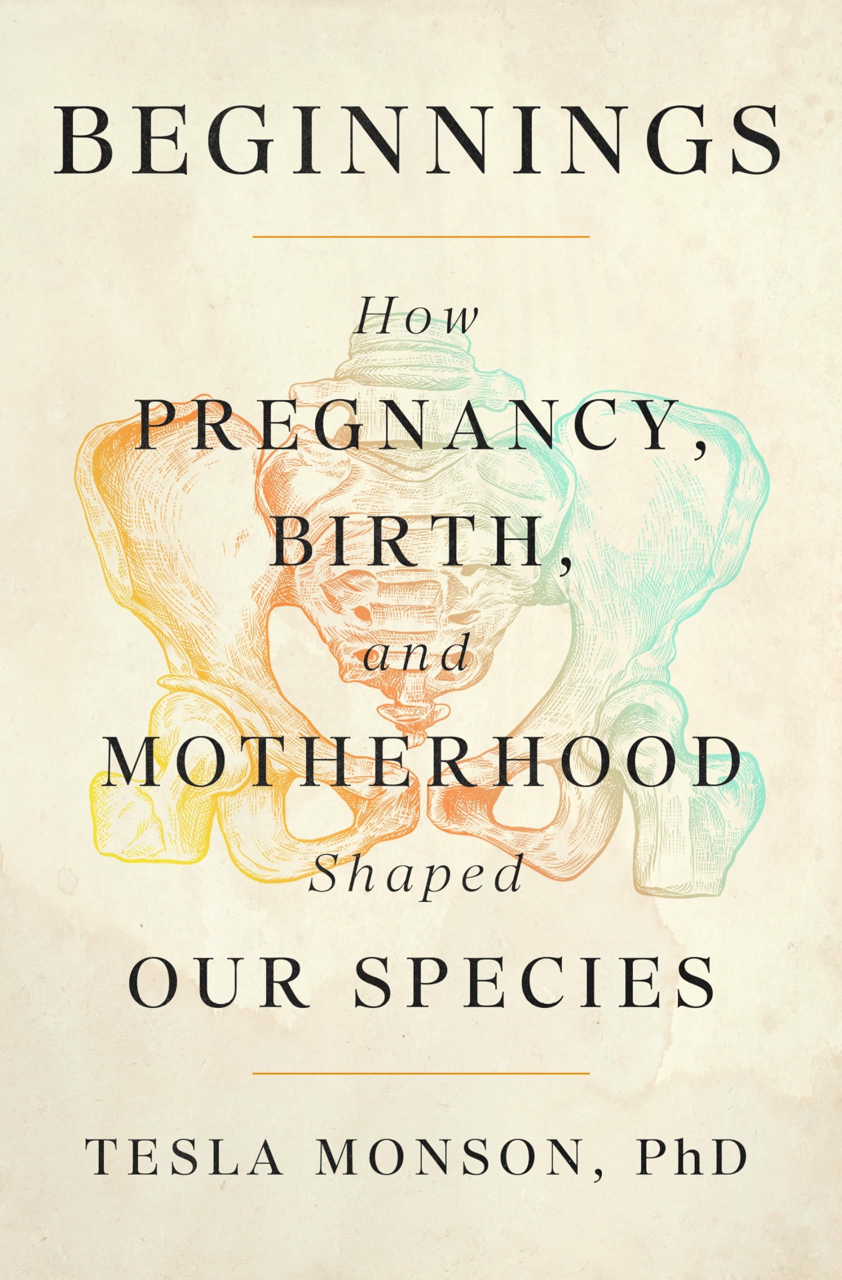 Beginnings: How Pregnancy, Birth, and Motherhood Shaped Our Species