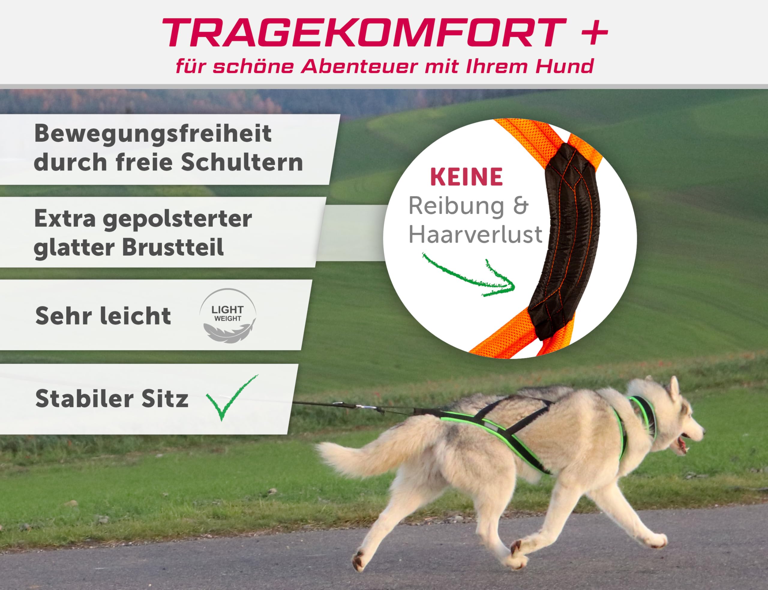 Mini X Back Zuggeschirr für kleine Hunde Hundesport Canicross Dogscooter Bikejöring Schlitten leicht Schwarz Neonorange
