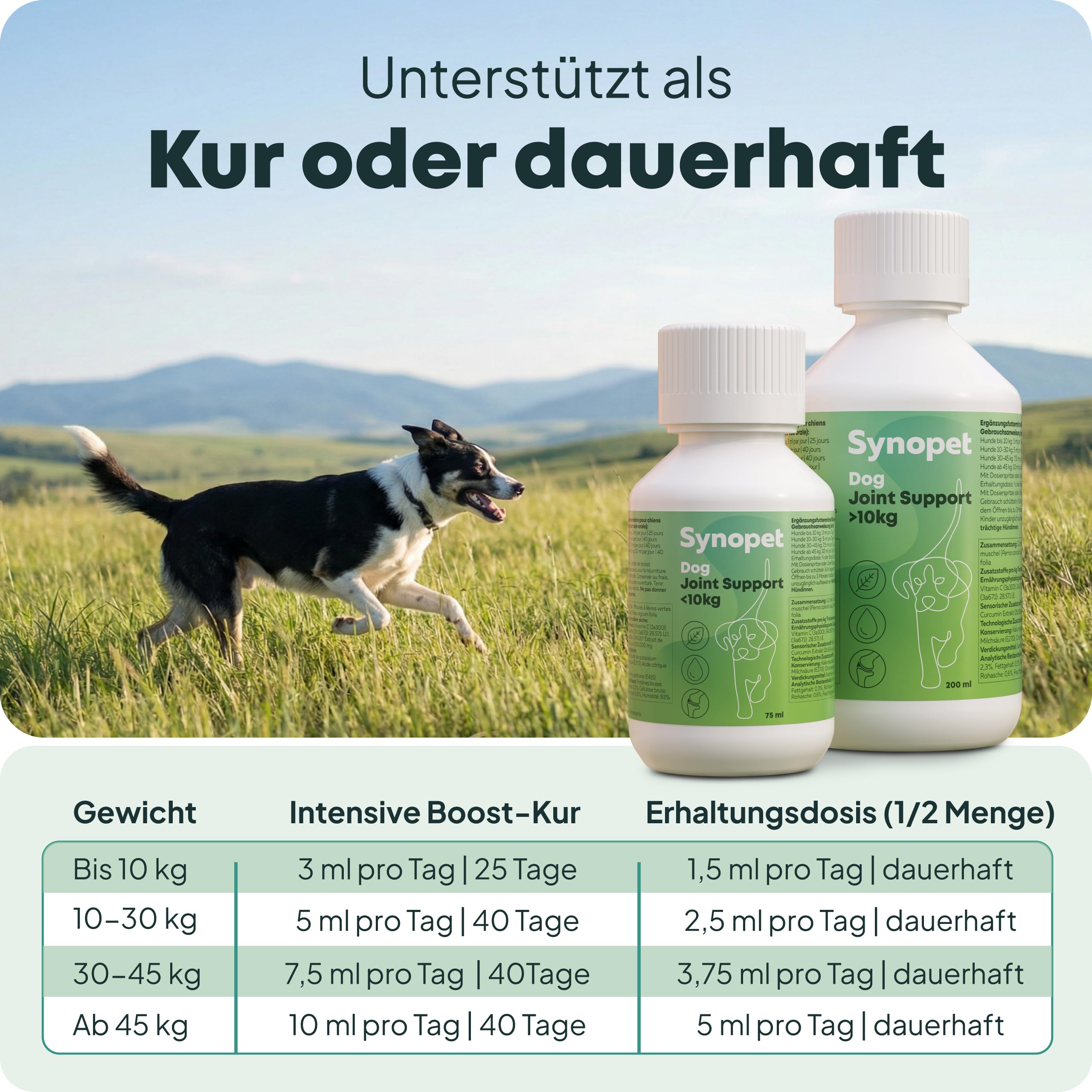 Dog Joint Support Grünlippmuschel Hund 200 ml I Flüssiges Gelenkpräparat für Hunde I Mit Curcumin & Schwarzem Johannisbeerblatt I Unterstützt Knorpel & Beweglichkeit