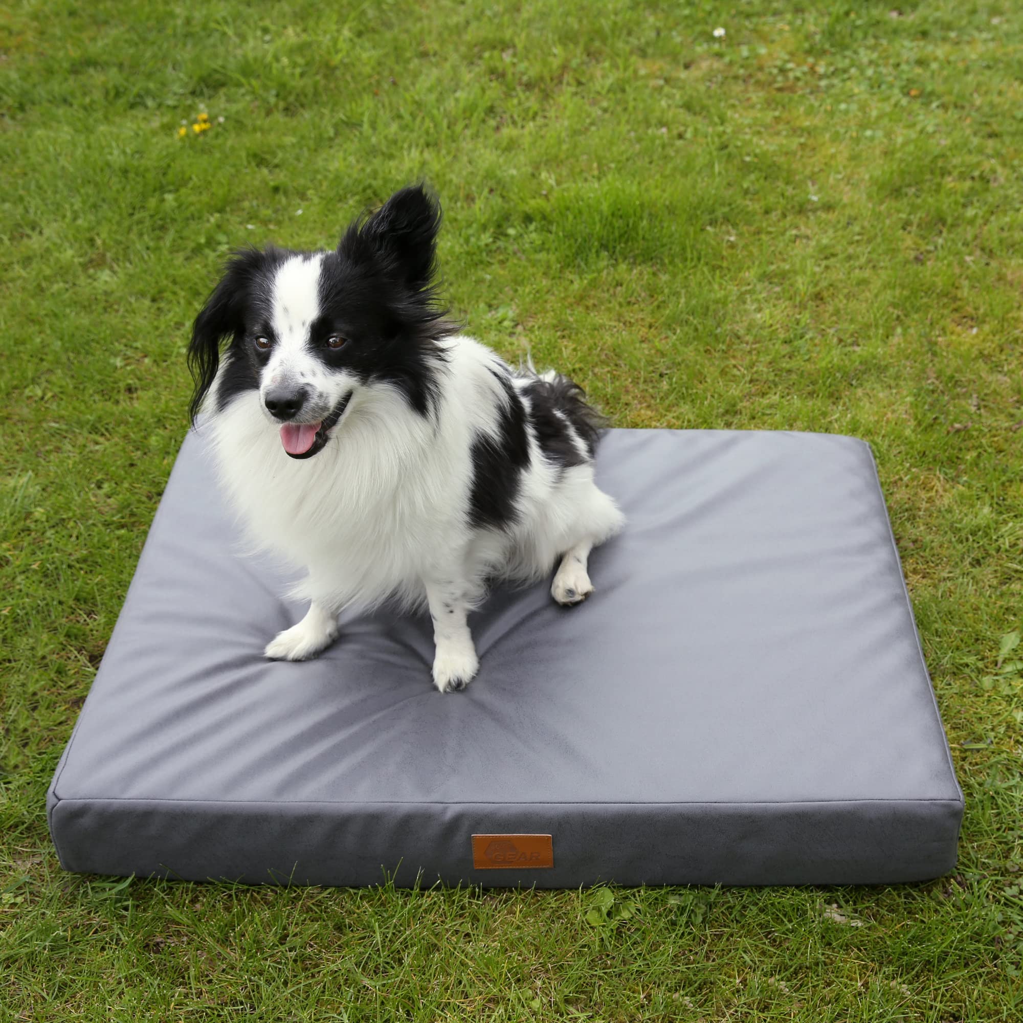 your GEAR Biella - Cama ortopédica para Perros, 100 x 70 x 10 cm, Lavable