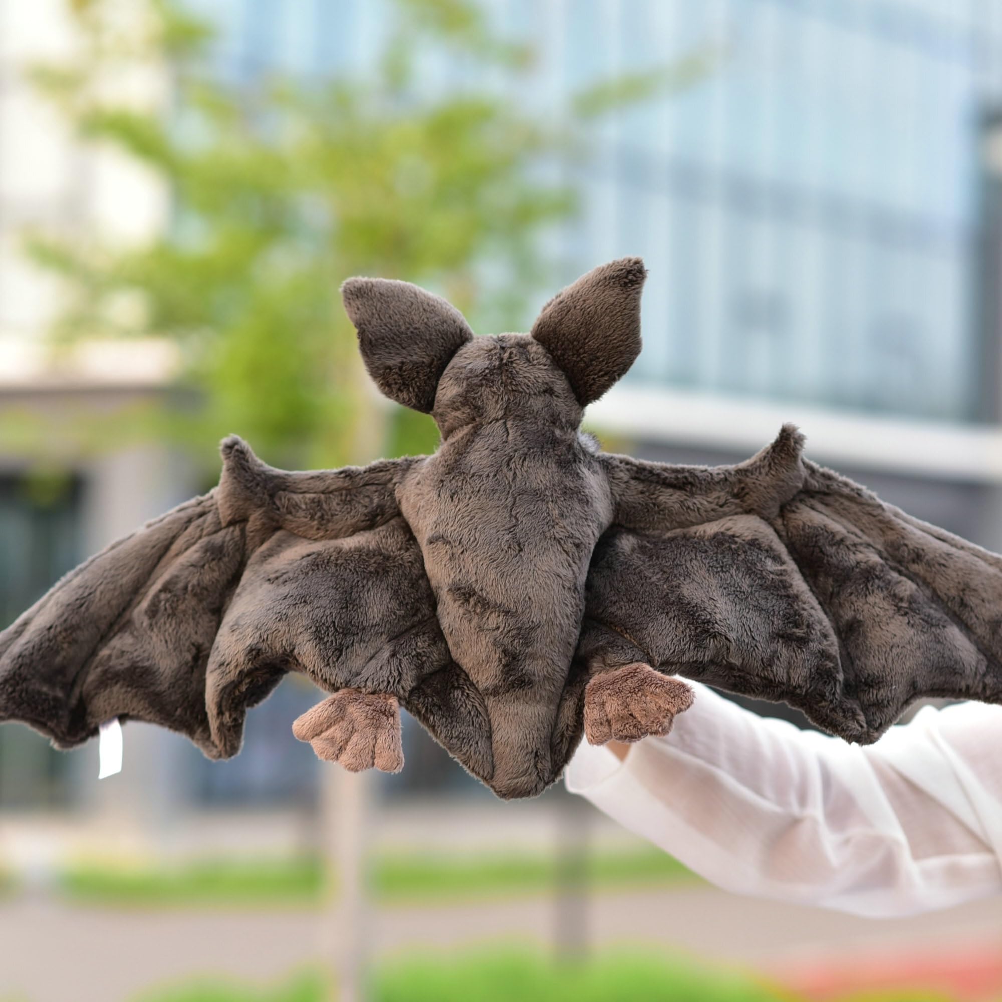 Grande apertura alare del pipistrello in peluche