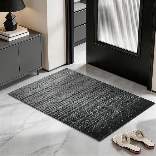 LIANLAM 2x3 Silver Infused Self-Cleaning Rug (Black)