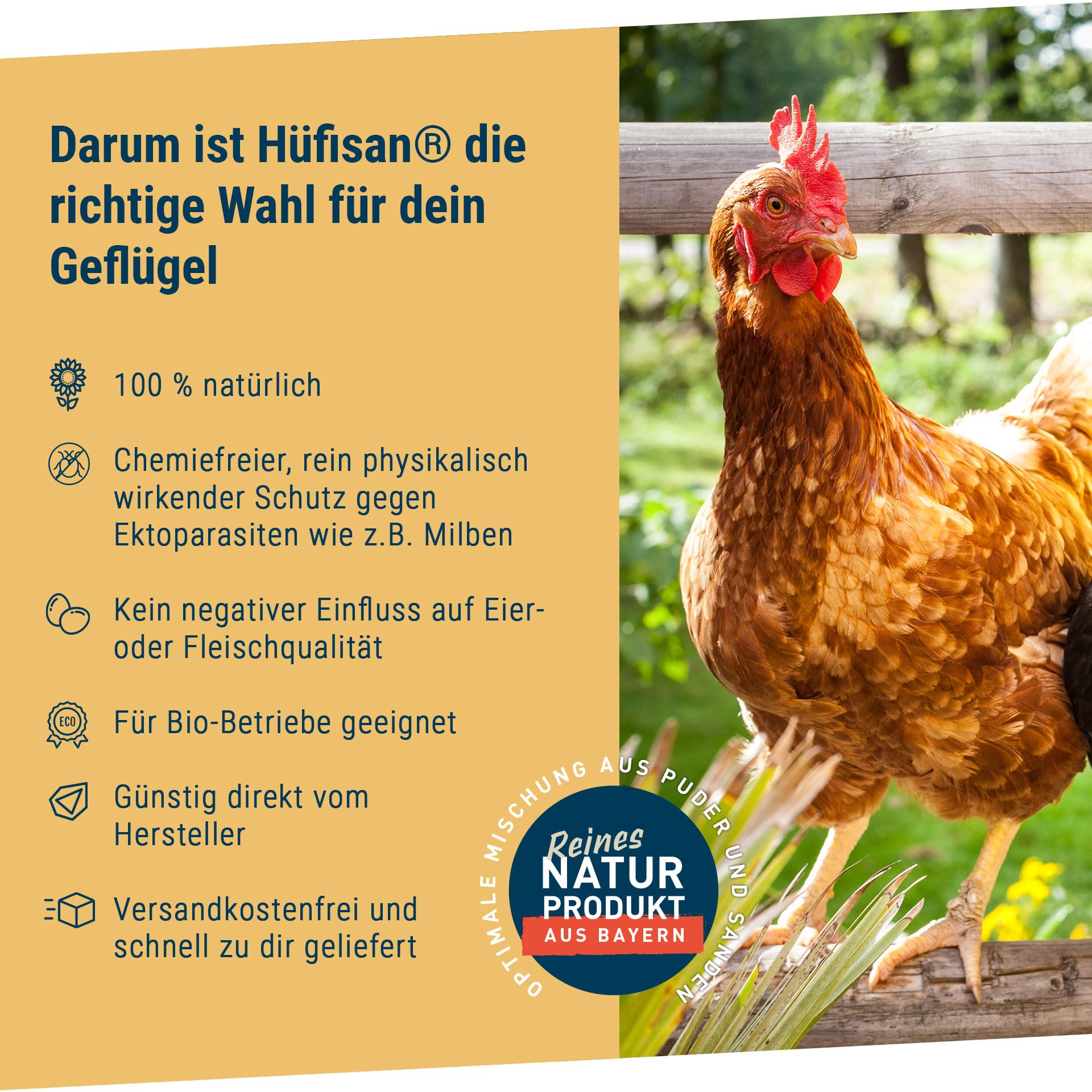 Schicker Mineral Hüfisan Geflügeleinstreu 25 kg, Badesand aus Diabas Urgesteinsmehl für Hühner, Tauben & Geflügel, Naturprodukt zur Feder- & Stallpflege, aktiver Schutz vor Parasiten und Milben