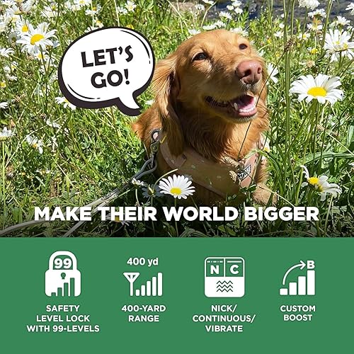 Miniatura 4 de Dogtra CUE - Collar electrónico fácil y seguro con vibración, personalizable, impermeable, recargable, para perros pequeños, medianos y grandes,