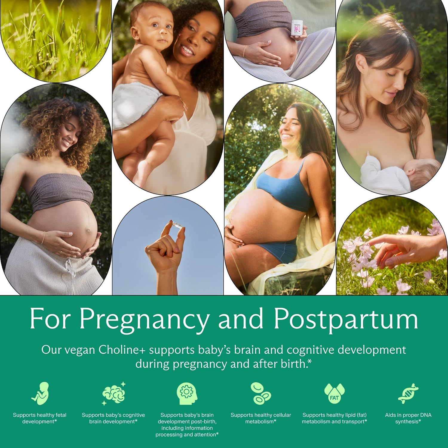 Needed. Prenatal Choline+ Liquid Capsules for Cognitive Development - Choline Supplements For Pregnancy - Aids Baby Brain Development & Supports Healthy Pregnancy - Third Party Tested - 30 Liquid Caps - Image 4