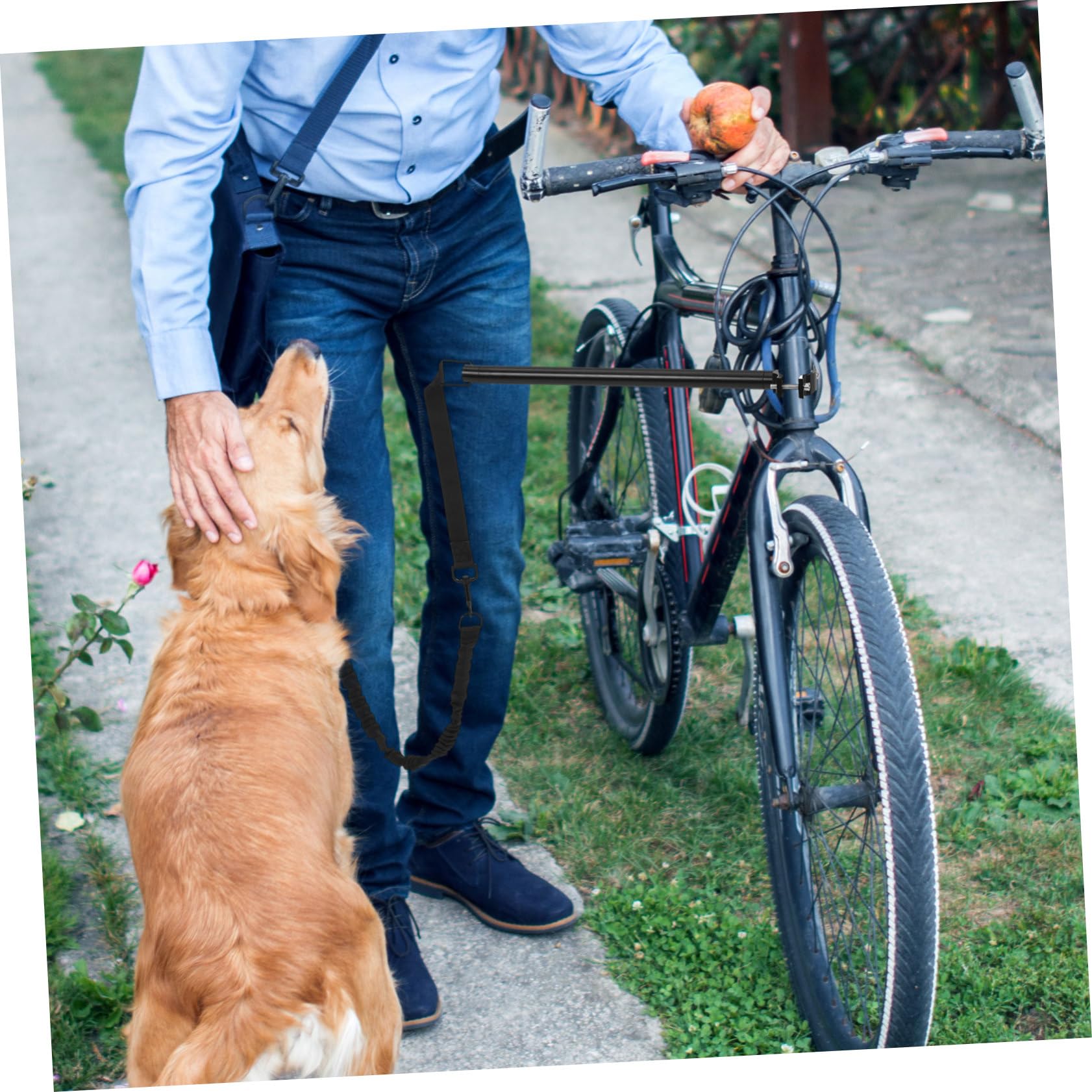 Laisse Vélo Chien Rétractable en Tissu Oxford Alliage Noir