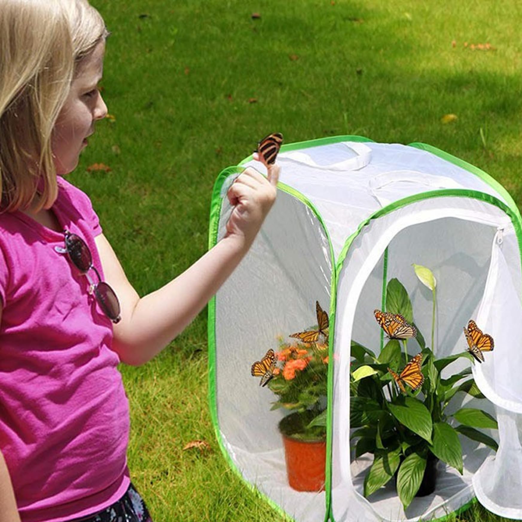 Cage Papillon 12x12x12'' Pop-up Tente Filet pour Élevage Enfants