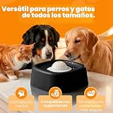 Ver la foto 5