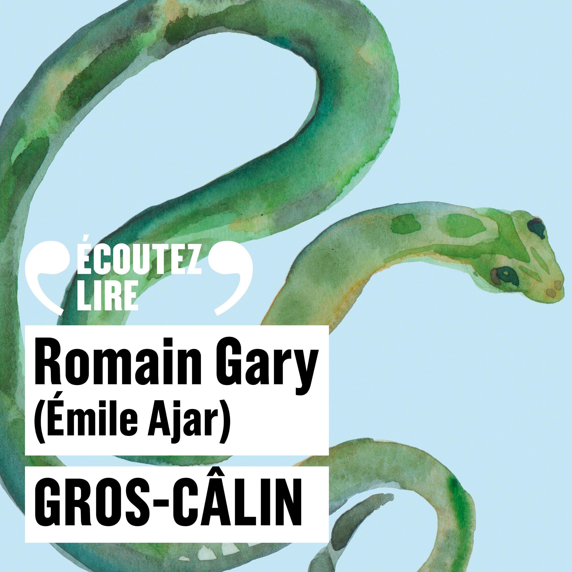 Cover art for Gros-Câlin