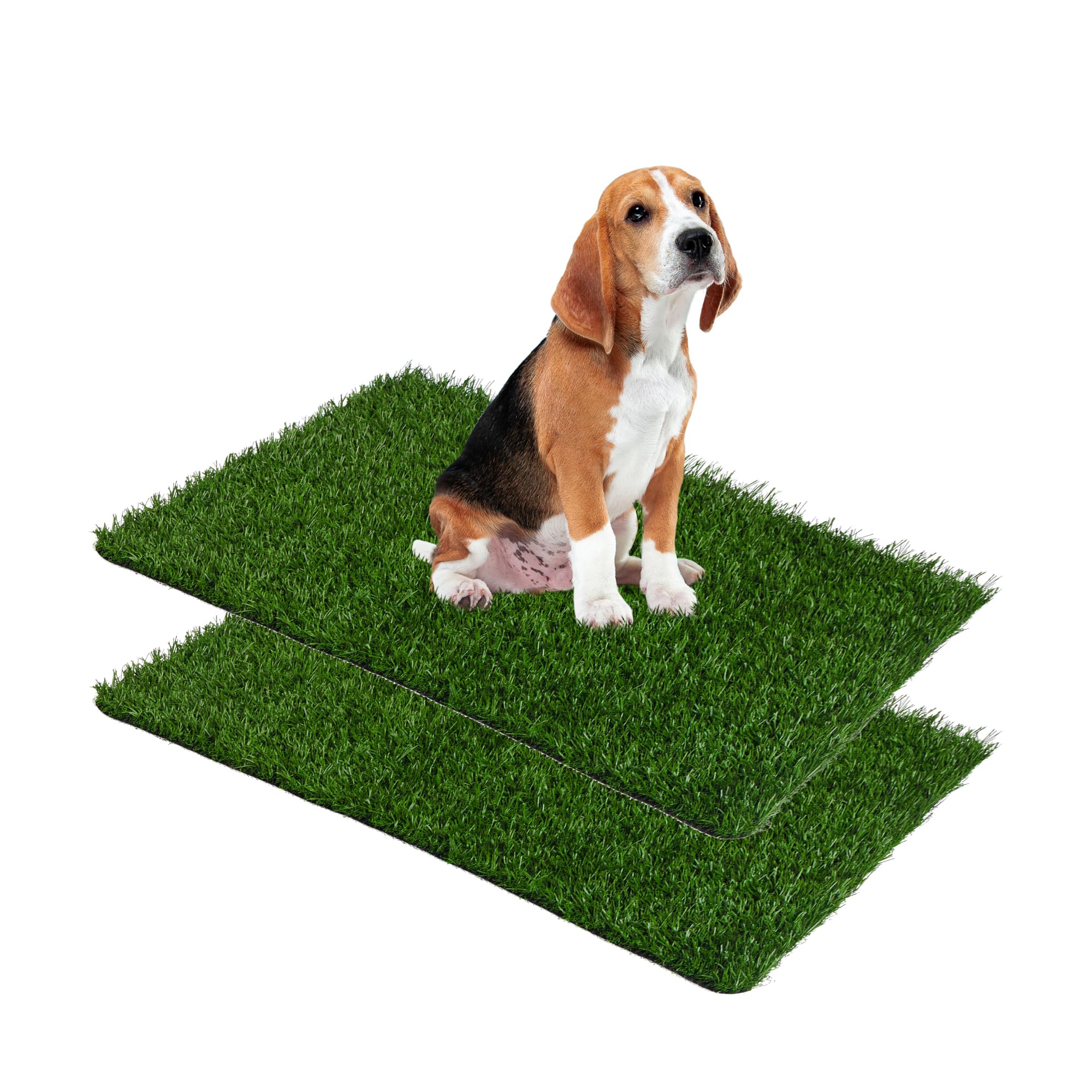 LeFluffy Dog Artificial Grass Mats, 2 Packs for Replacement, Washable Fake Grass Turf for Dogs to Pee On, Quick-Absorbing Puppy Training Pad (58 x 46 cm, S)