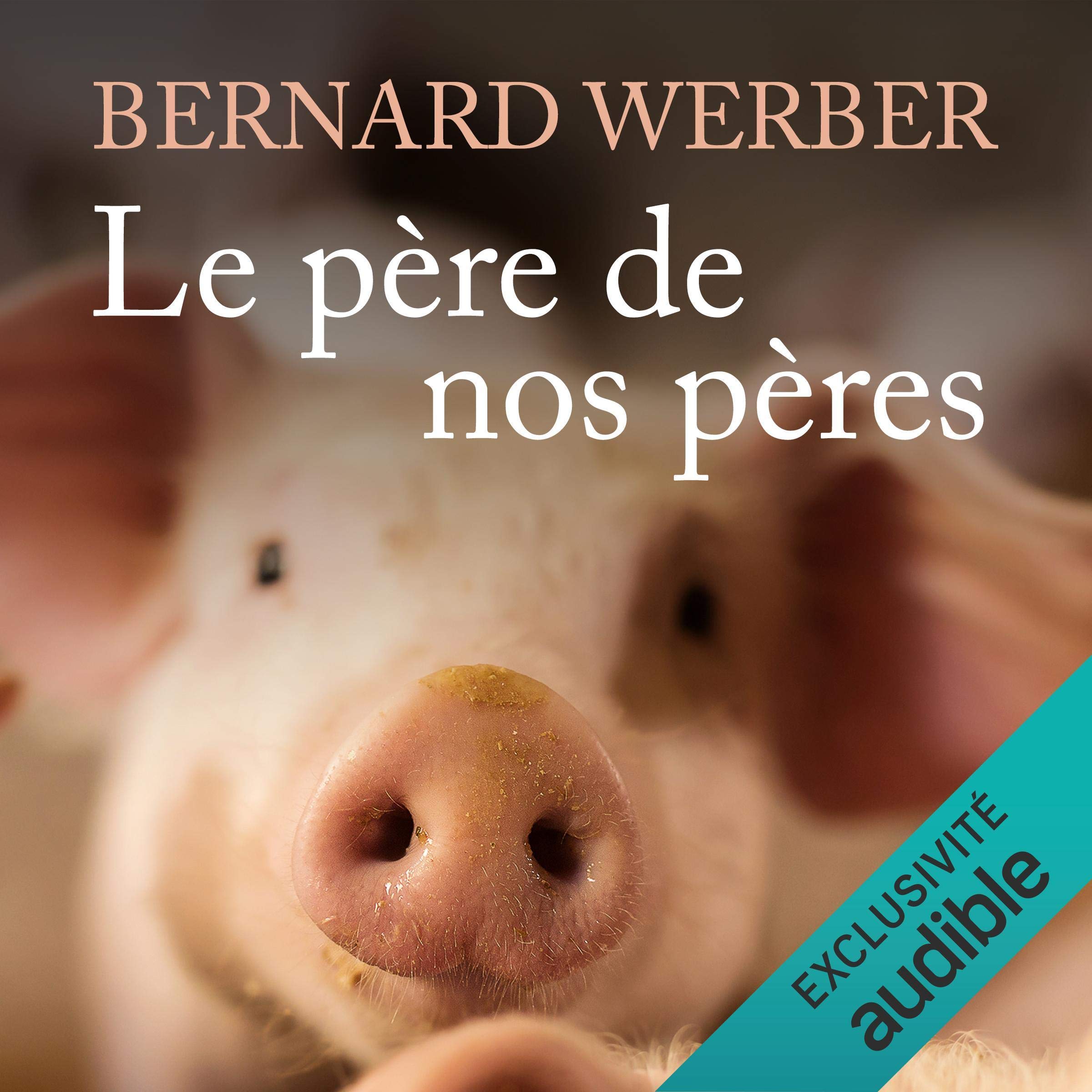 Cover art for Le père de nos pères