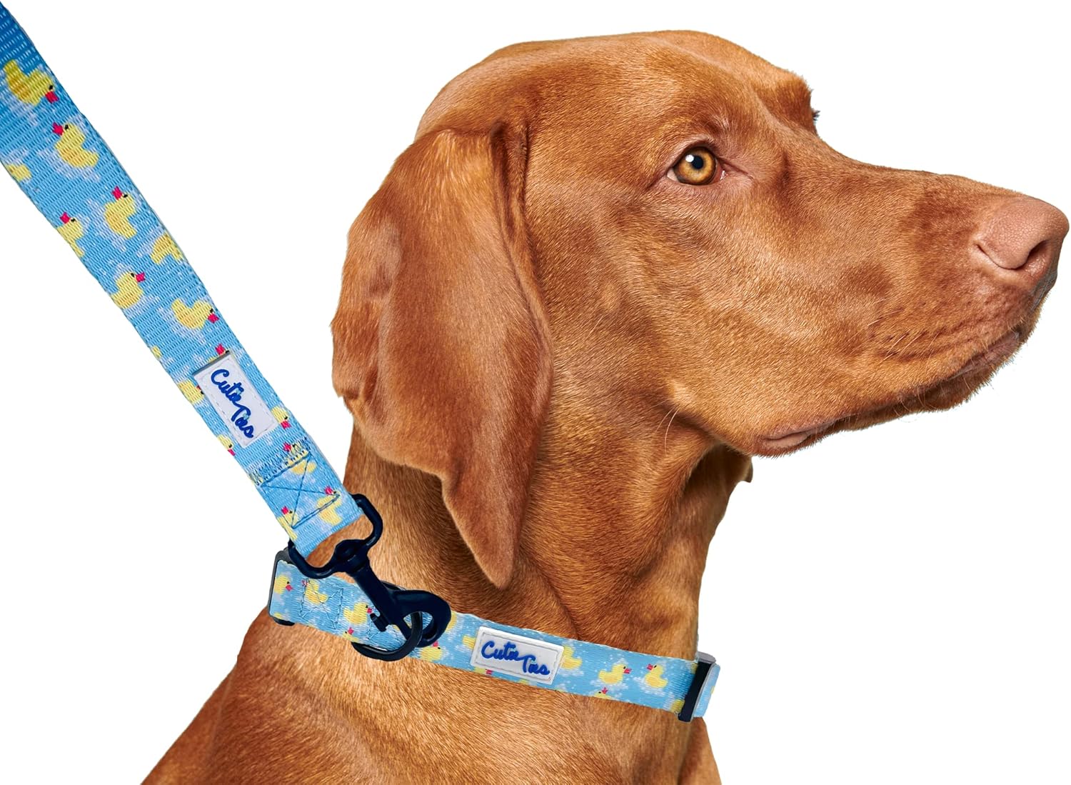 Dog Leash Pizza– Durable Nylon Material - Premium Quality Leash for Dogs - Fancy Leashes - Cute Dog Leash in Two Sizes - (Pizza, Large (1" x 6'))