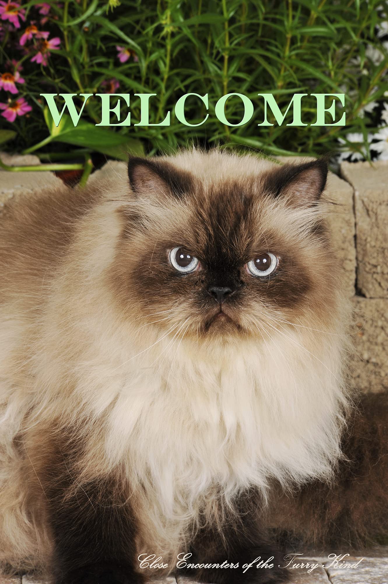 Himalayan Cat - Best of Breed CEFK Welcome Photo Garden Flag