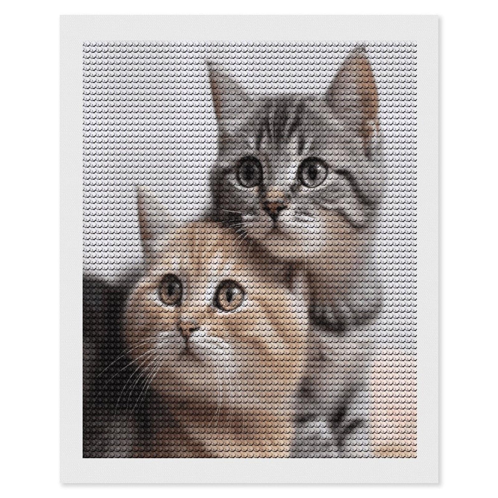 FekiLoot Cats Paint by Numbers Kit for Adults Beginner DIY Diamond Dots Paintings Round Full Drill Diamond Art Kits Picture Diamond Art Painting Kits for Home Decor 16"x20"