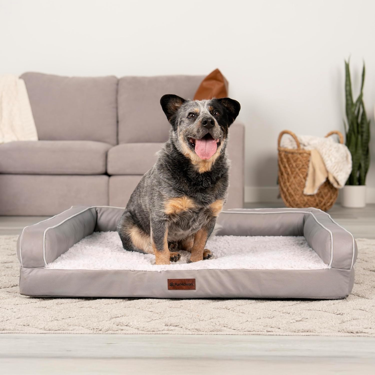 FurHaven Textured Plush & Coated Polyester Solid Core Modern Sofa Pet Bed, Greige, Large