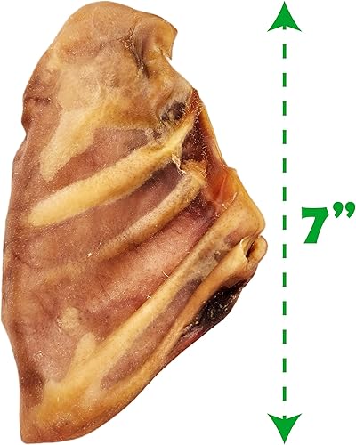 Miniatura 2 de Orejas de cerdo enteras para perros grandes, paquete de 15 masticables de larga duración para perros, golosinas para perros, un ingrediente,