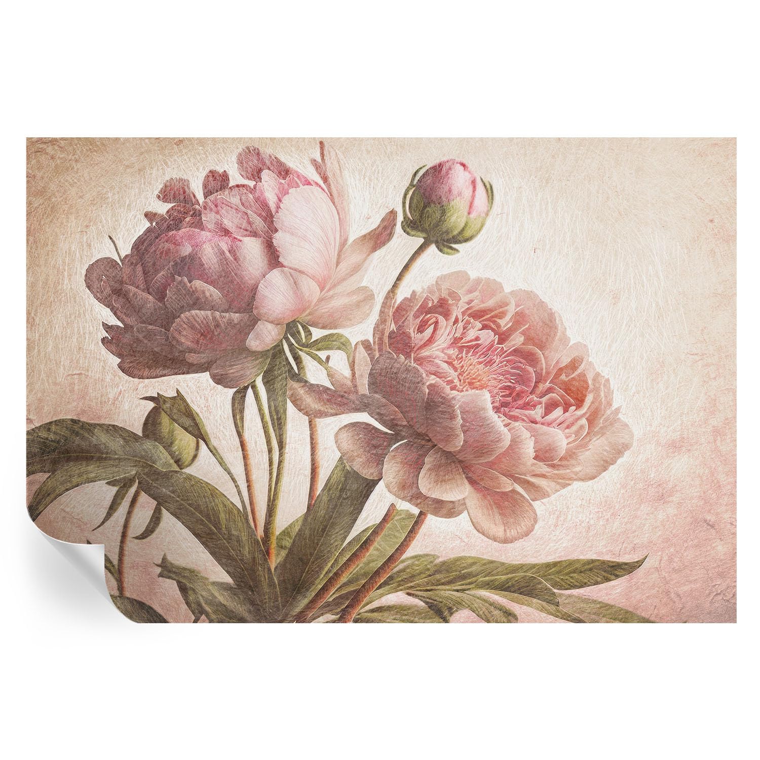 Vinilos de peonías delicadas 152x104 cm para revestimiento de pasillos