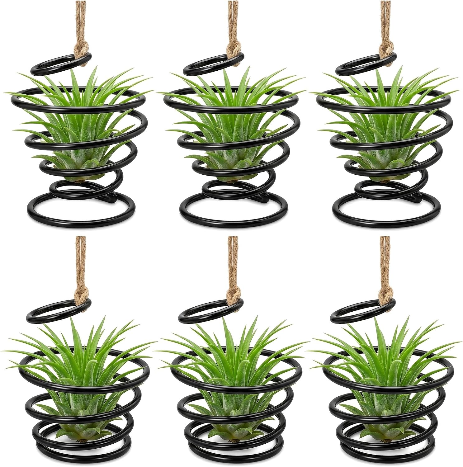 6 Pack Air Plant Holders with Jute Rope, Hanging Spiral Tillandsia Holders, Metal Air Plant Display Supports for Soilless Plants, Succulents, Home Office Decor