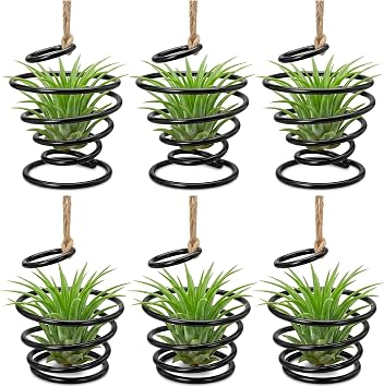 6 Pack Air Plant Holders with Jute Rope, Hanging Spiral Tillandsia Holders, Metal Air Plant Display Supports for Soilless Plants, Succulents, Home Office Decor