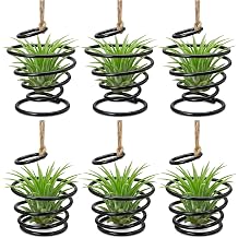 6 Pack Air Plant Holders with Jute Rope, Hanging Spiral Tillandsia Holders, Metal Air Plant Display Supports for Soilless Plants, Succulents, Home Office Decor