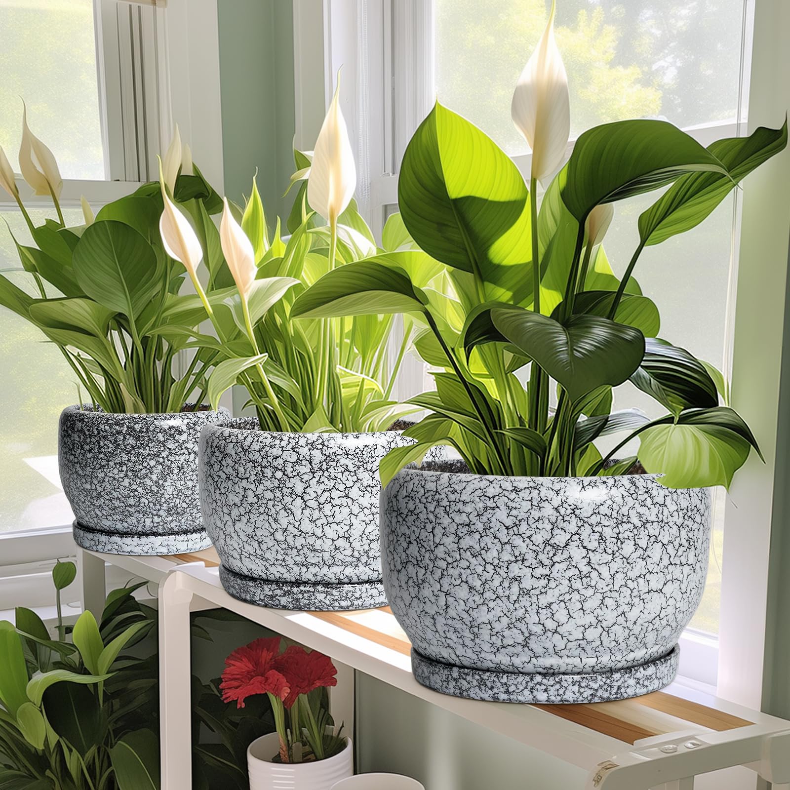 SQOWL Keramik-Pflanzgefäße – 25,4 cm Keramik-Blumentopf mit Ablaufloch und Untersetzer, dekorativer Blumentopf für den Innenbereich, runder großer Übertopf für den Außenbereich, Badezimmer-Dekor
