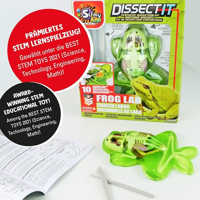 Foto 3 de 7 de Slimy Juego de experimentos con diseño de Rana