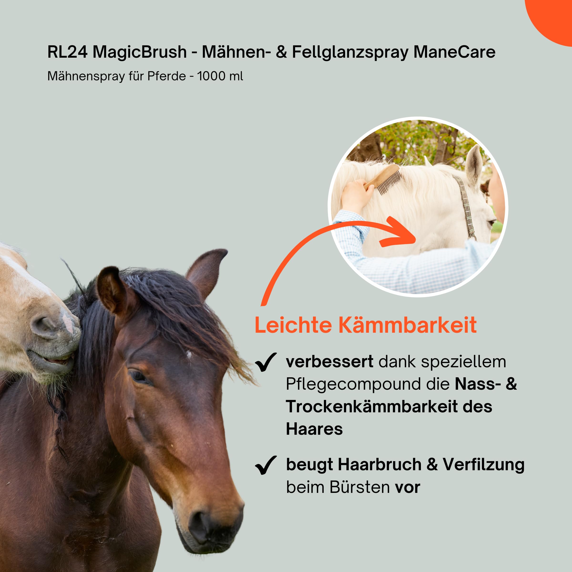 RL24 MagicBrush - Mähnen- & Fellglanzspray ManeCare – 5 x 1000 ml