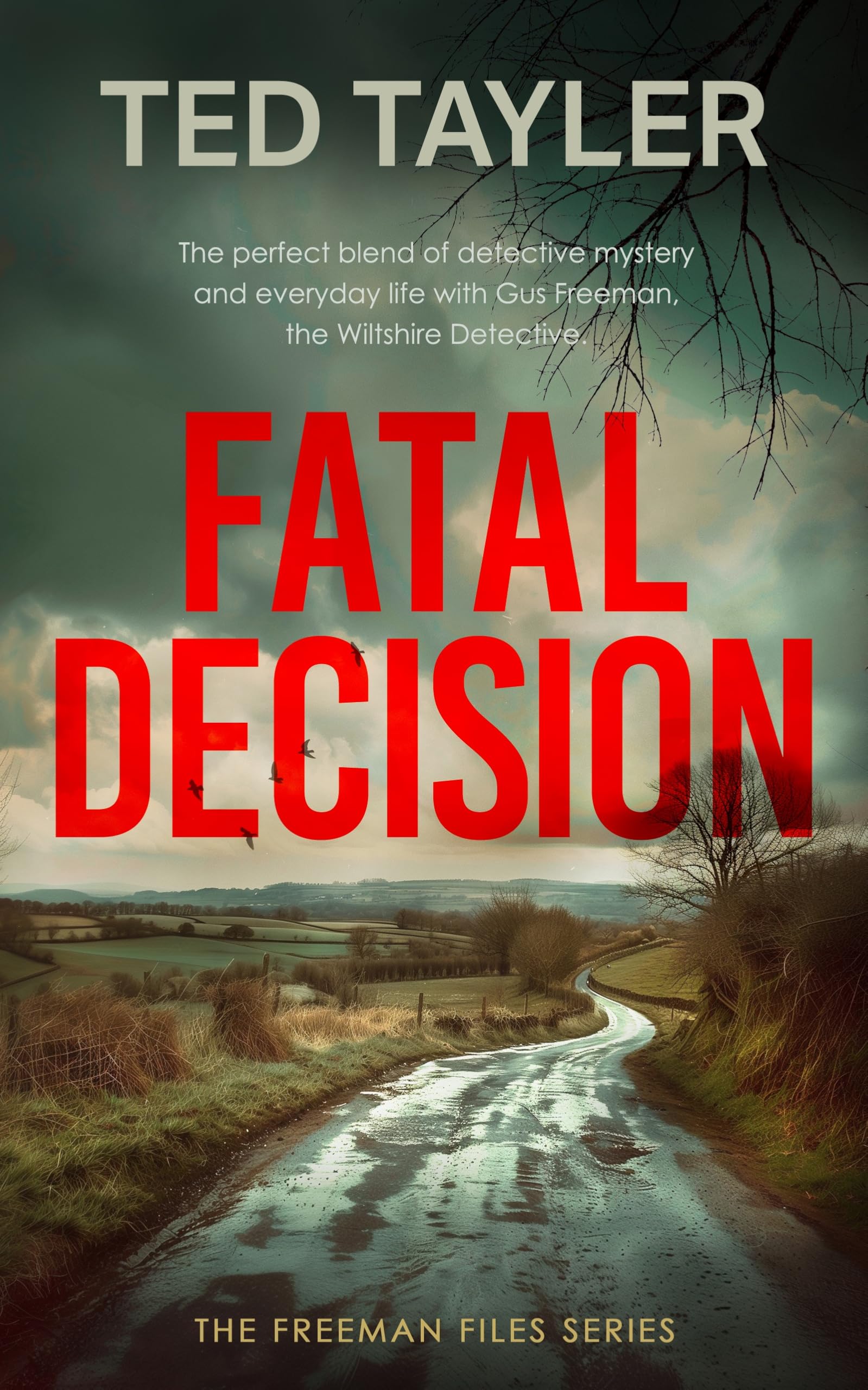 Fatal Decision : A Cold Case Murder Mystery Series