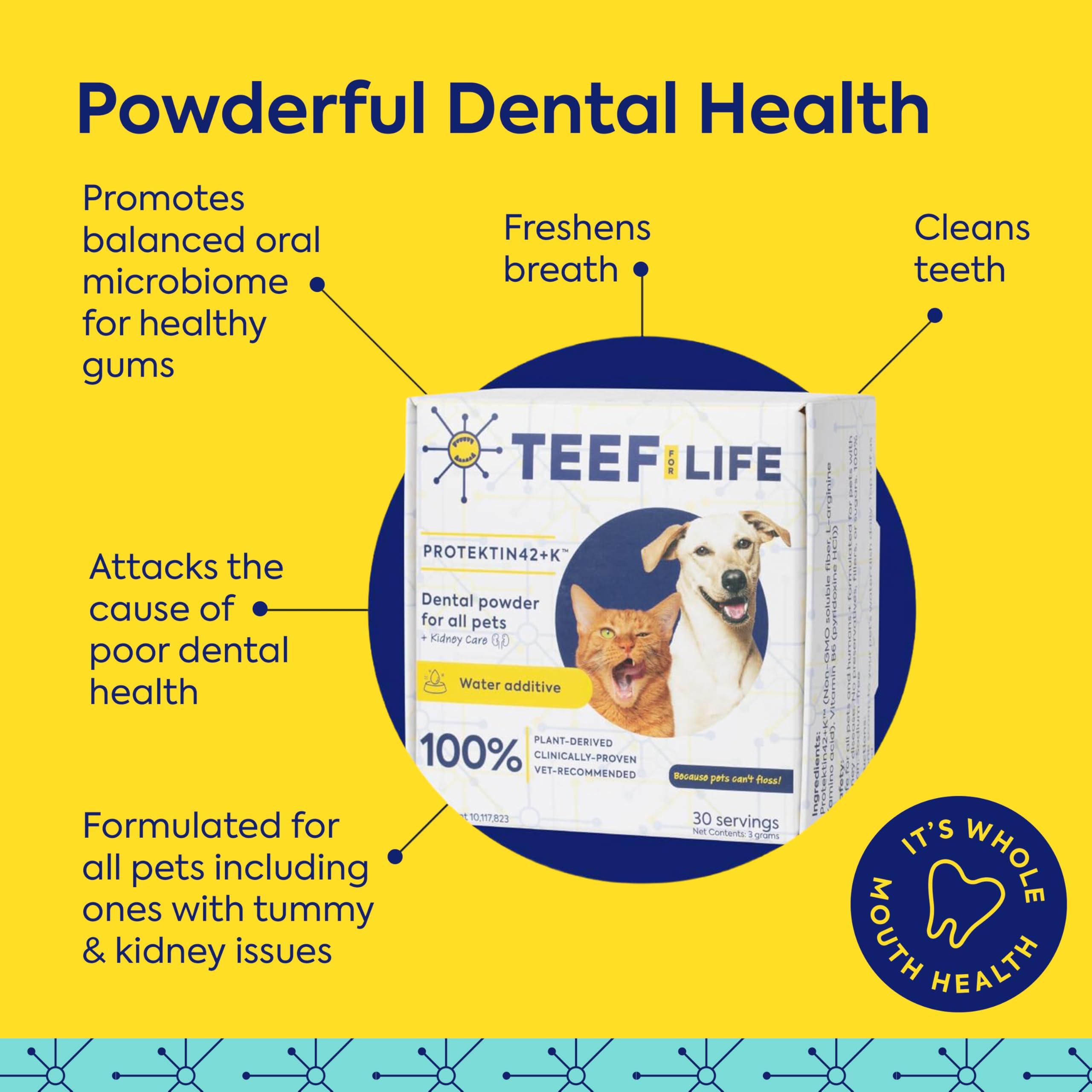 TEEF! Protektin42+K Cuidado dental diario derivado de plantas para todas las mascotas (sin sodio), aditivo de agua dental, combate naturalmente la placa y el sarro, kit dental con 90 porciones de por