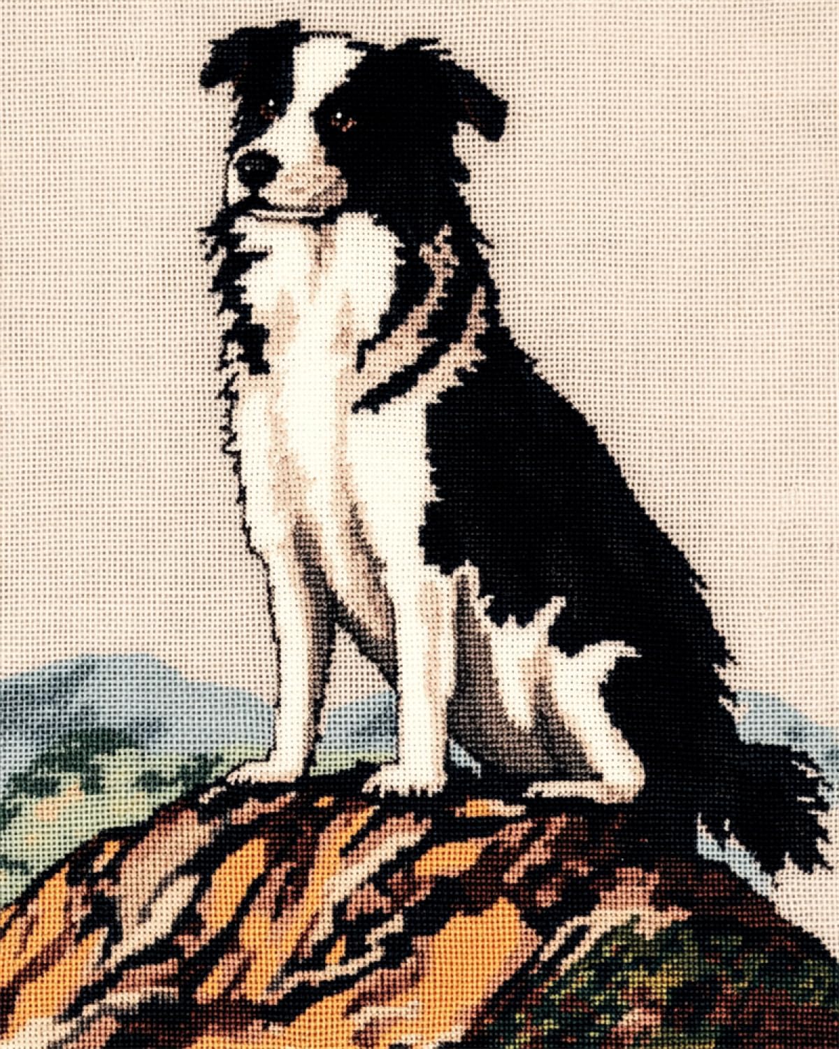 AxiangziK Diy Knüpfstern Set Knüpfpackungen Mit Border-Collie-Tiermotiv，Hund Und Berglandschaft，Diy-Knüpfpackungen Für Teppiche Zum Basteln Für Anfänger，Unfertiger Häkelteppich，Stickteppich 90x120cm
