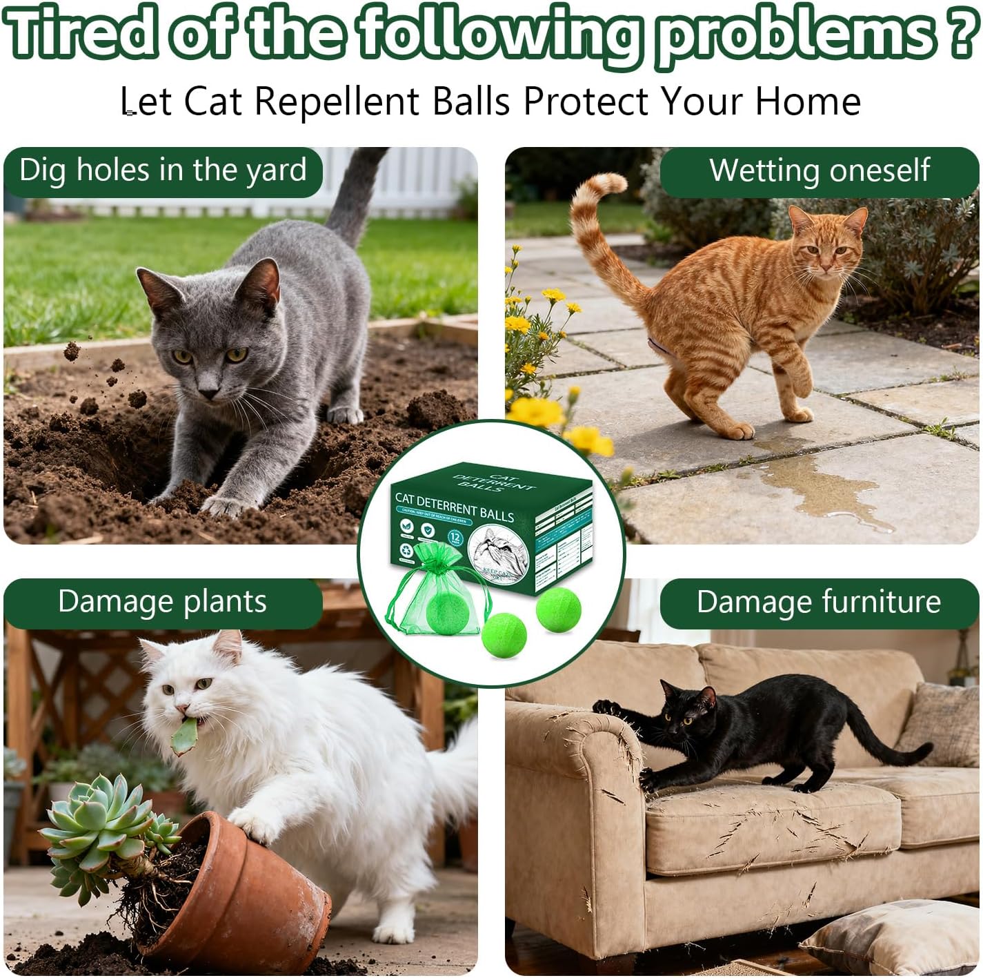 Cat Repellent Outdoor to Keep Cats Away (12Pack) Natural Peppermint Oil Cat Deterrent Outdoor and Indoor (Dull Green)