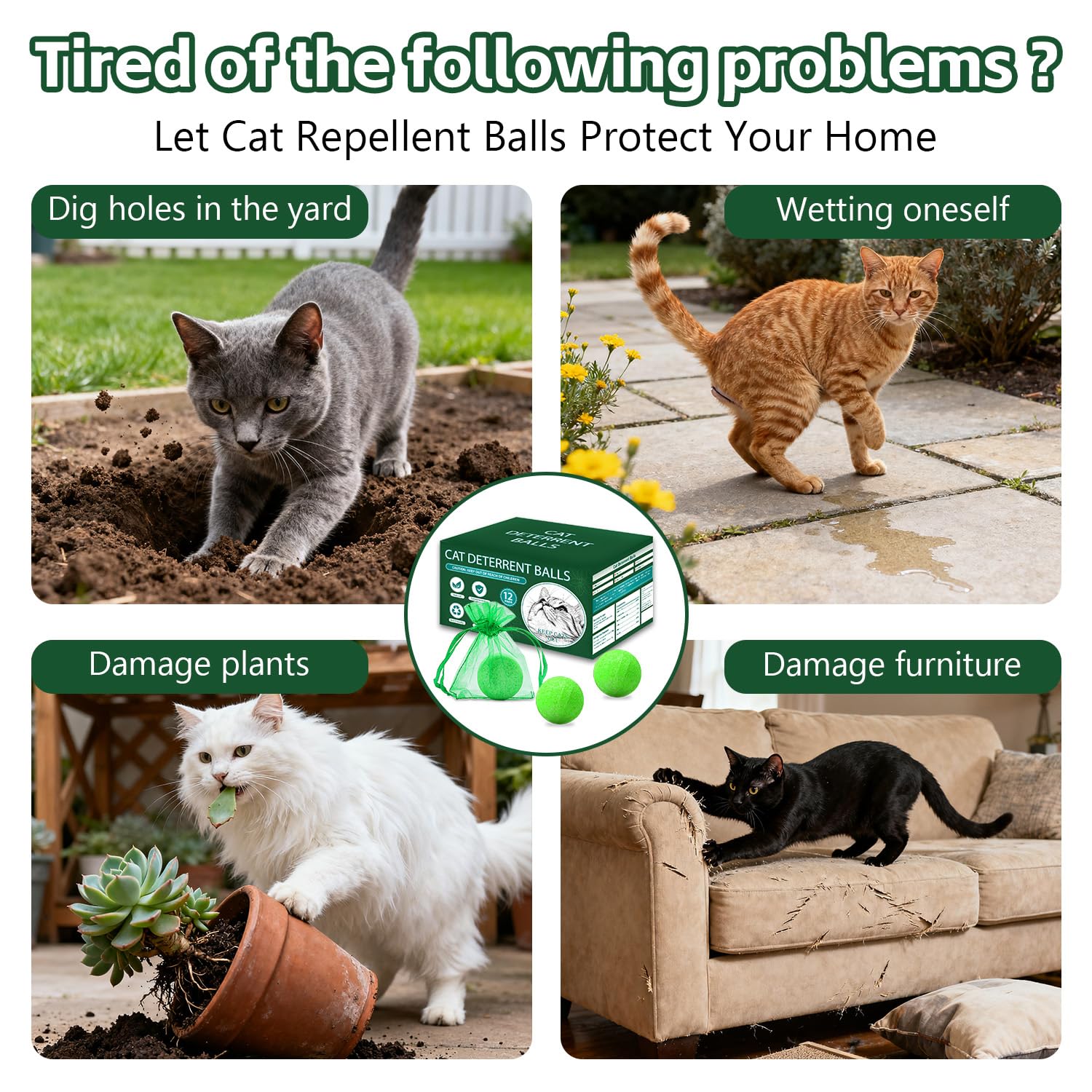 Cat Repellent Outdoor to Keep Cats Away (12Pack) Natural Peppermint Oil Cat Deterrent Outdoor and Indoor (Green) - 4