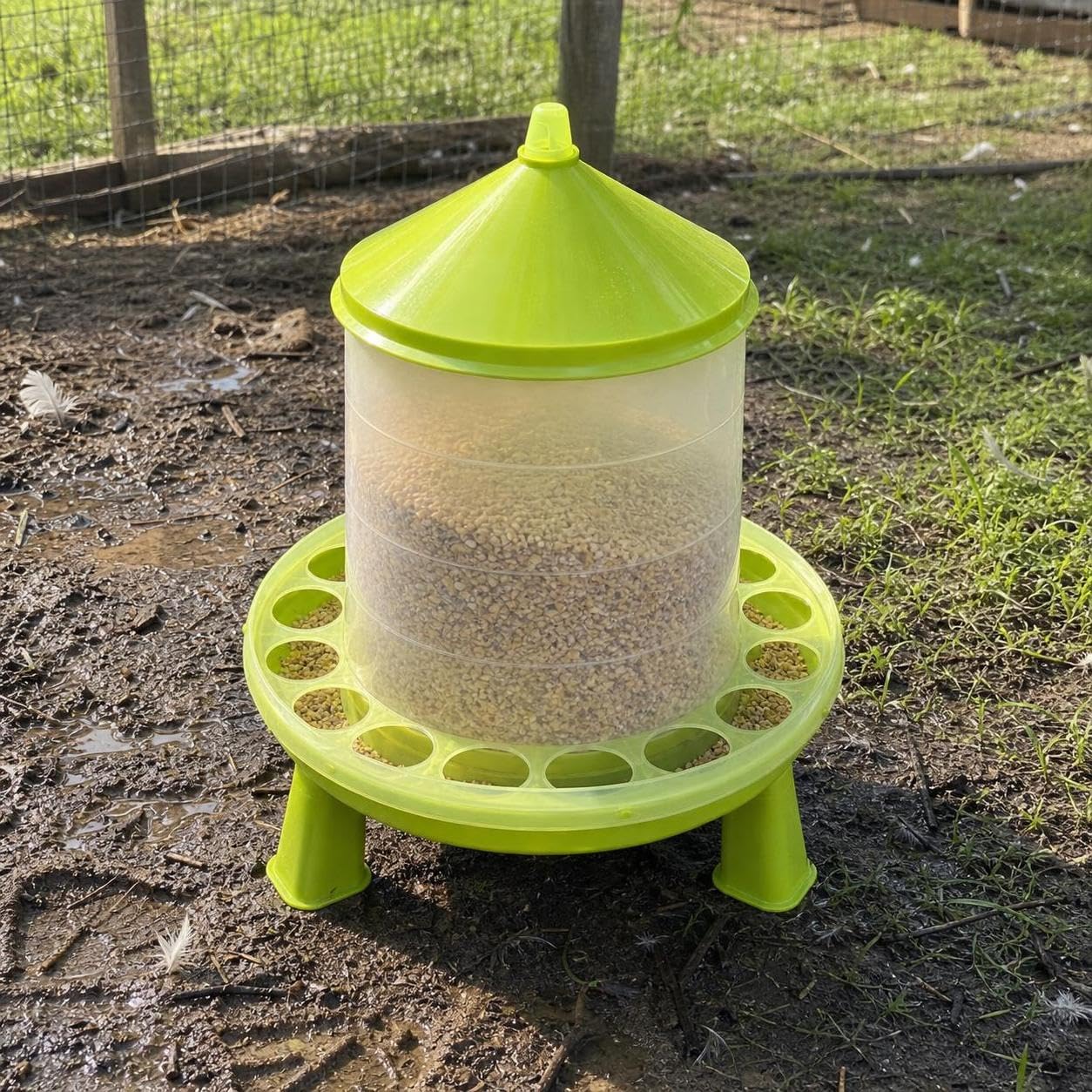 Mangiatoia Automatica per Galline, 4 kg