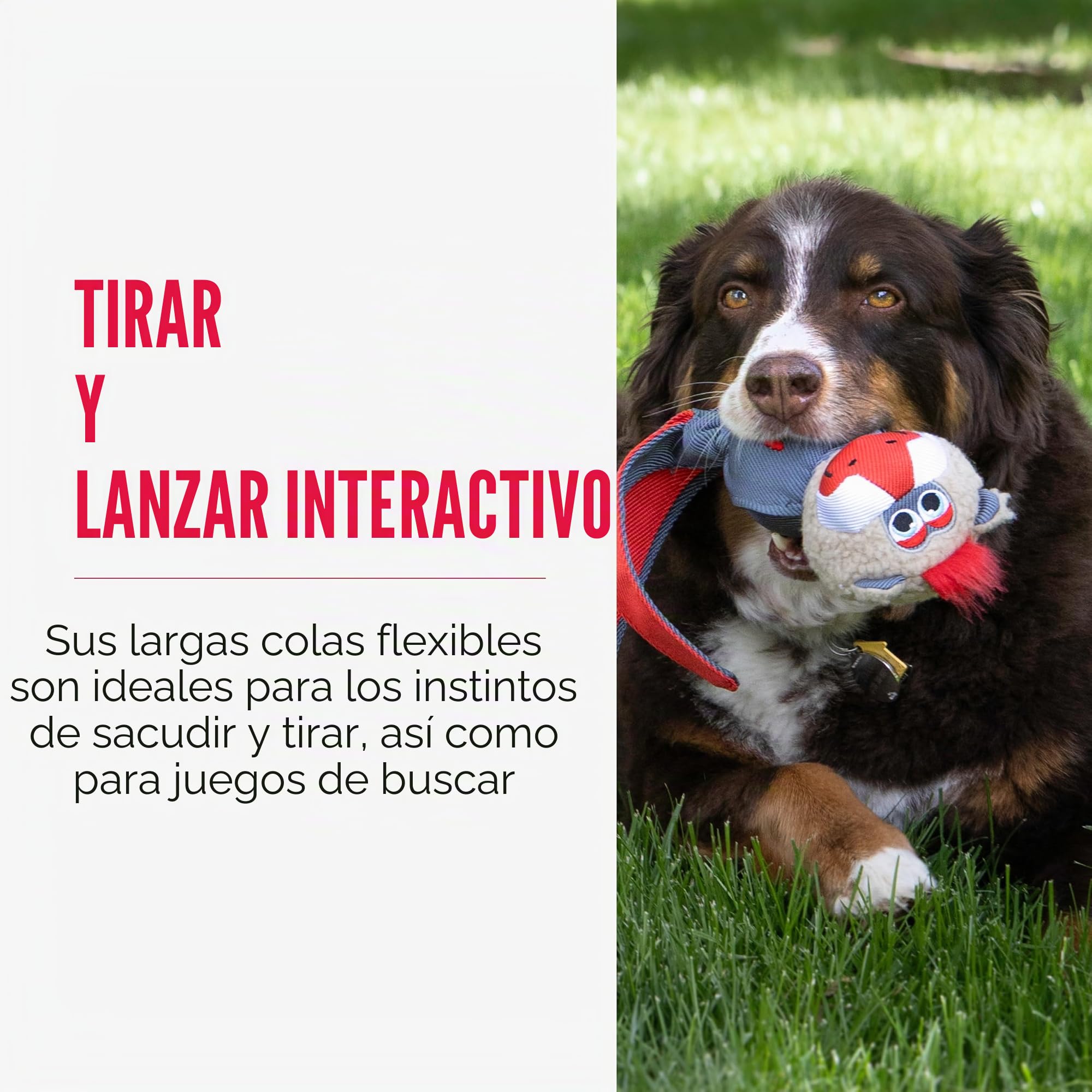 Juguete Para Perros Kong Wubba Zoo Mandrill L