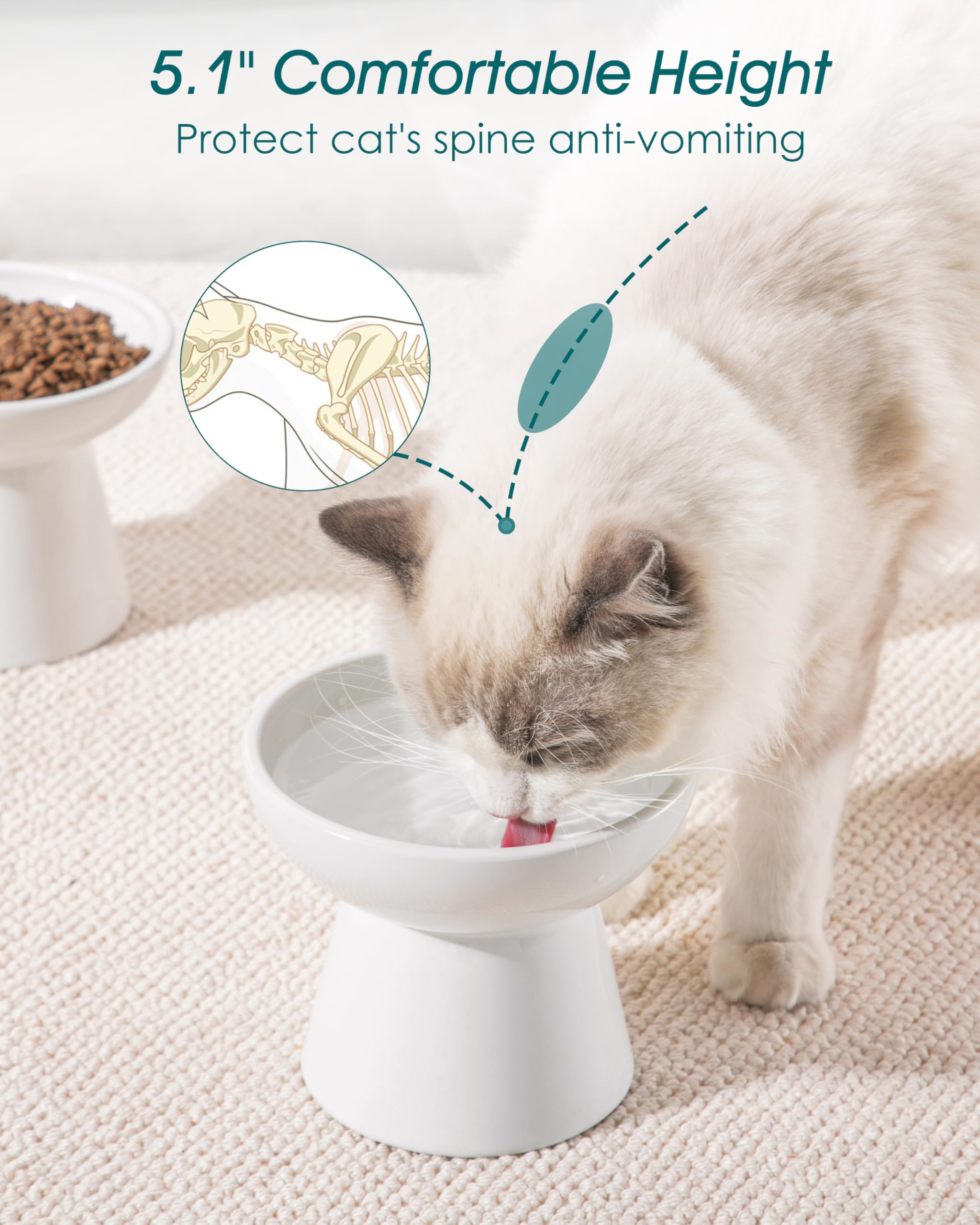 vancasso Ciotole per gatti rialzate, in ceramica, rialzate per cibo e acqua, 15,7 cm, extra larga e poco profonda, per gattini, gatti adulti, cani di piccola taglia, affaticamento dei baffi, senza