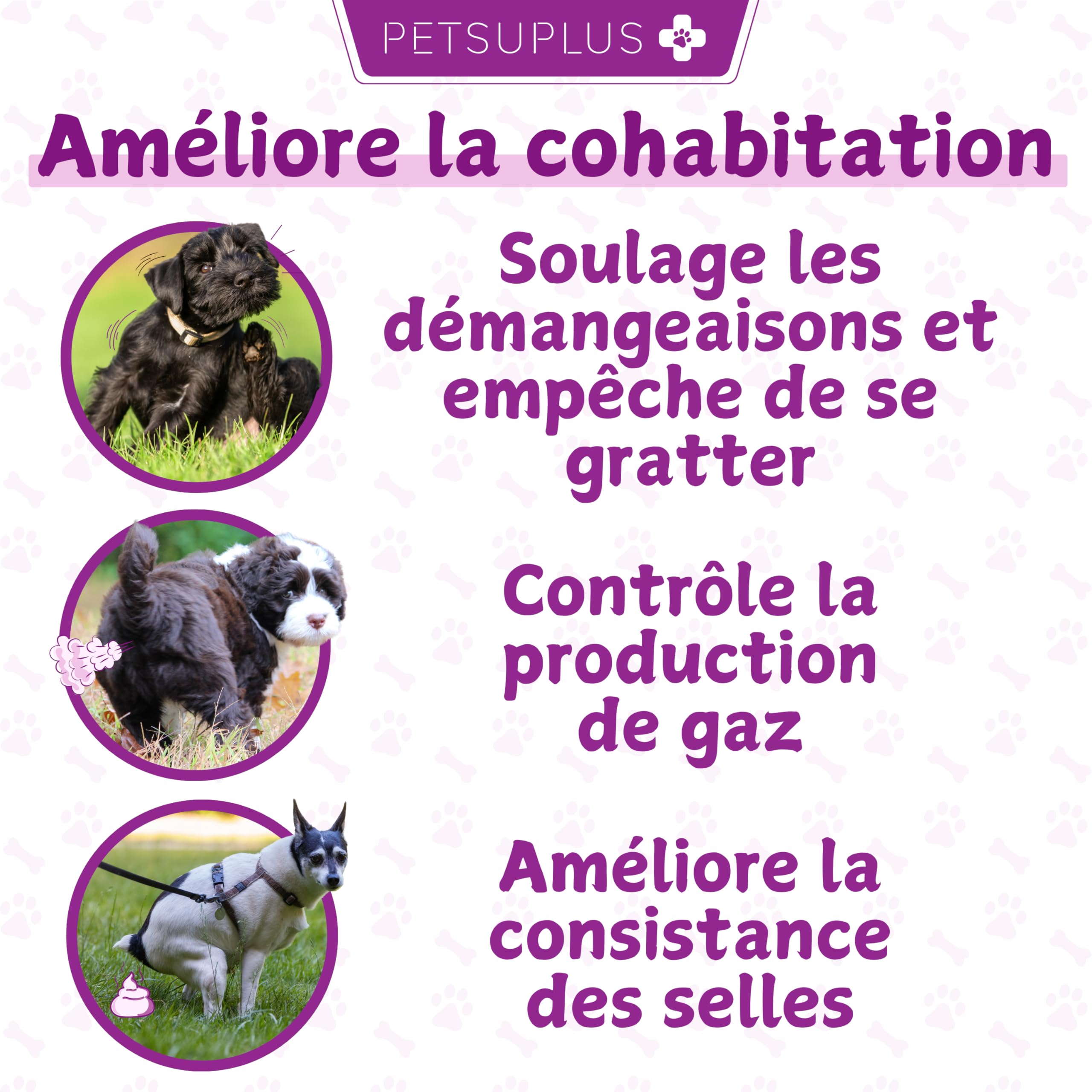 Probiotique Chien - Complement Alimentaire Chien pour la Digestion - Probiotiques Santé Flore Intestinale et Système Immunitaire - Anti Diarrhée, Gaz et Vomissements - 120 Comprimés