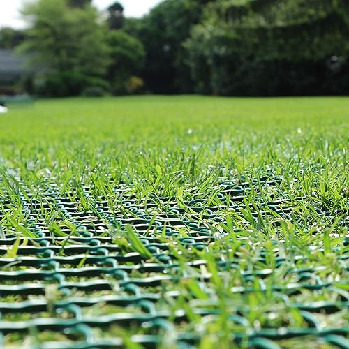 Miniatura 4 de Tenax TR 1A130210 - Red de protección para césped (7.9ft), color verde