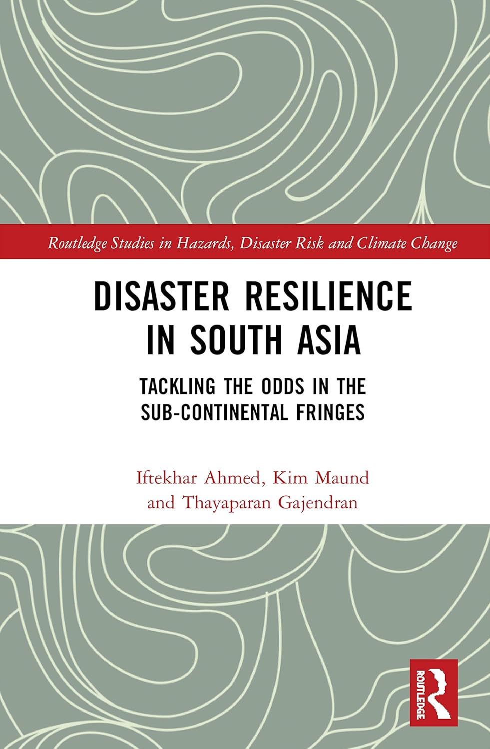 Disaster Resilience in South Asia (Routledge Studies in Hazards, Disaster Risk and Climate Change)      1st Edition